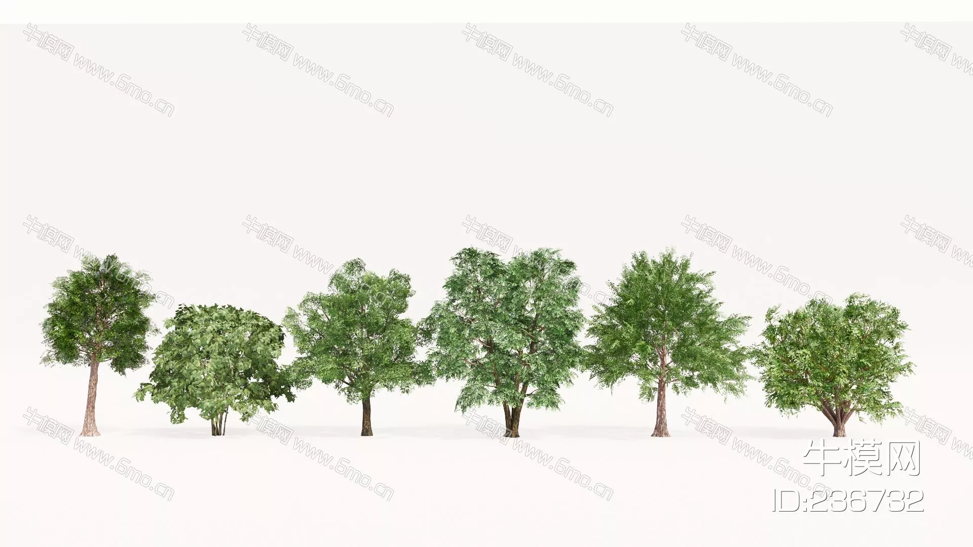 MODERN TREE - SKETCHUP 3D MODEL - ENSCAPE - 236732