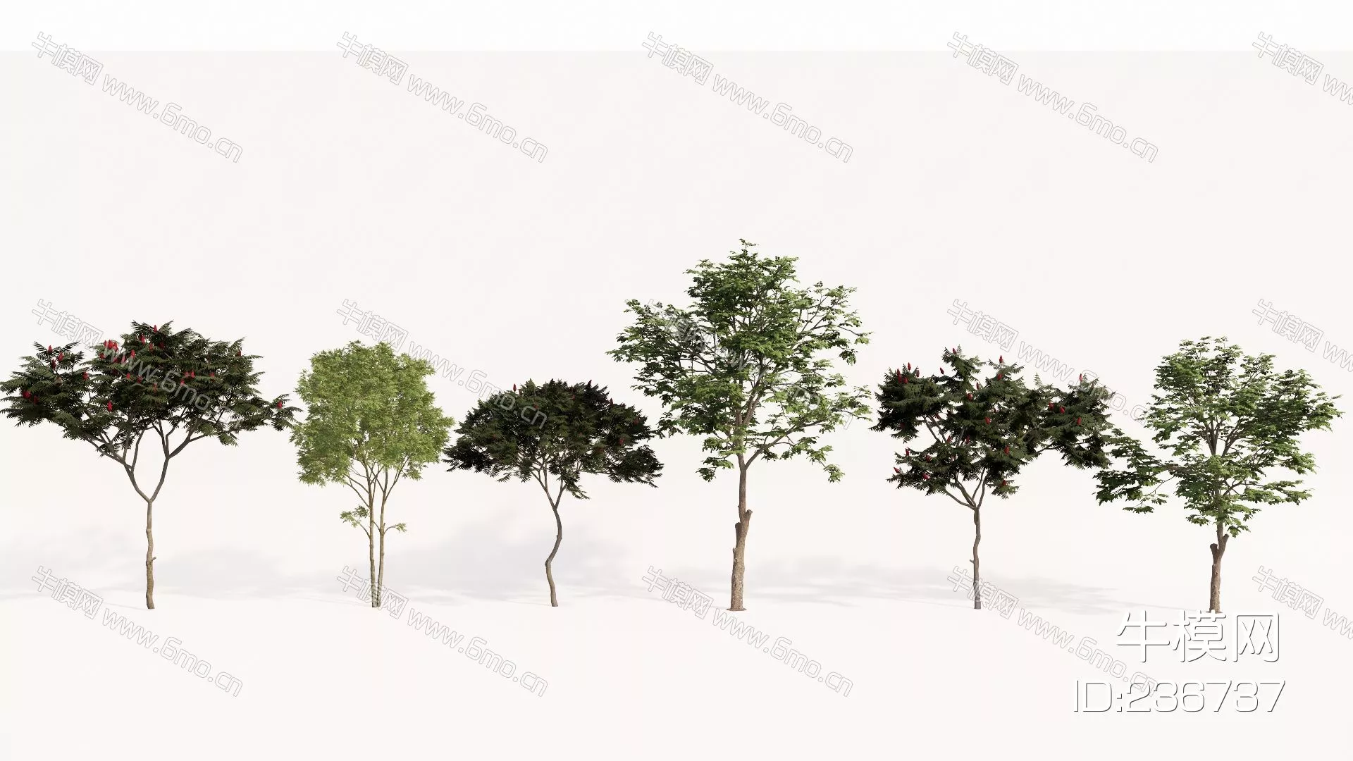 MODERN TREE - SKETCHUP 3D MODEL - ENSCAPE - 236737