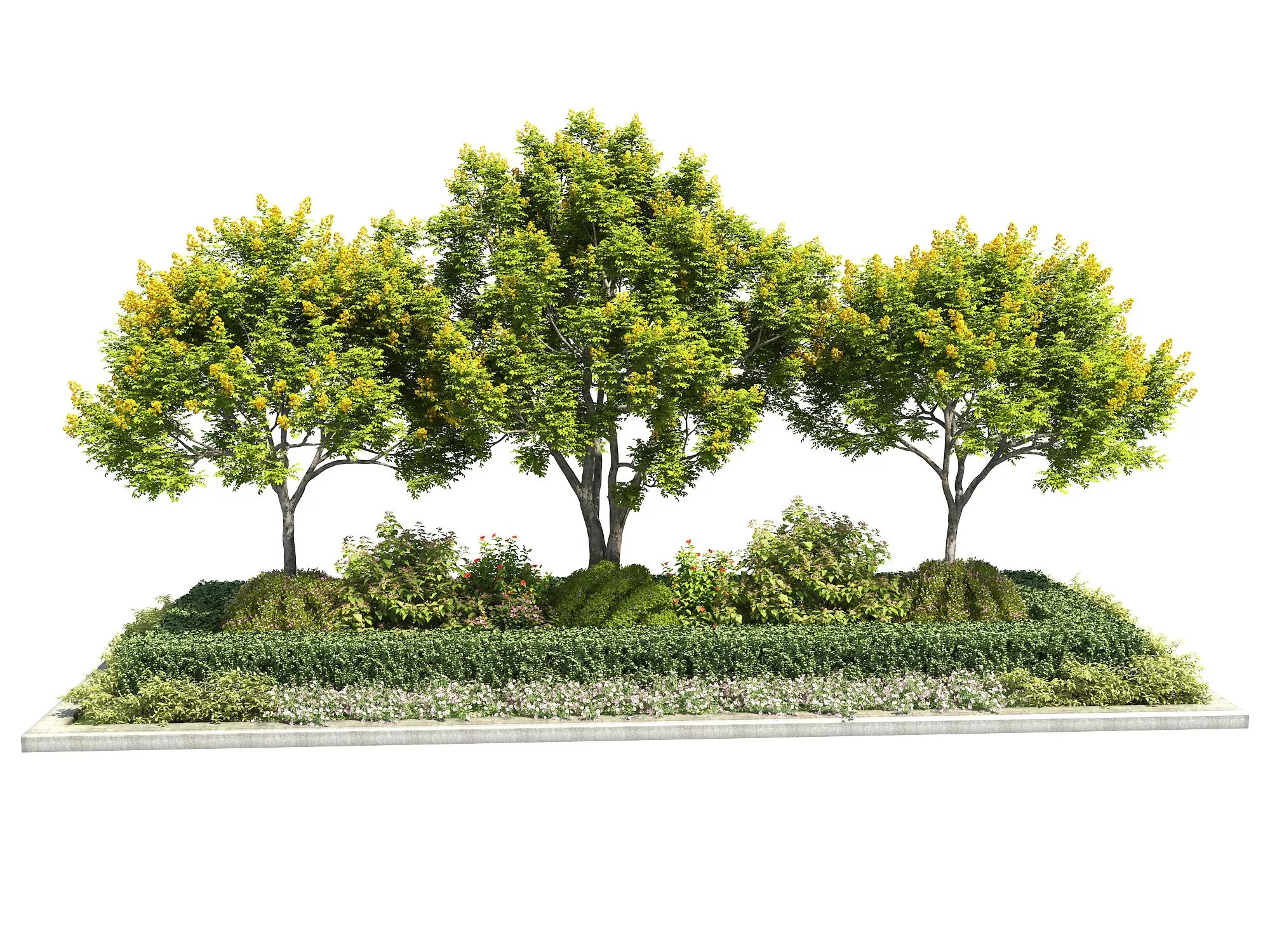 MODERN TREE - SKETCHUP 3D MODEL - ENSCAPE - 249733