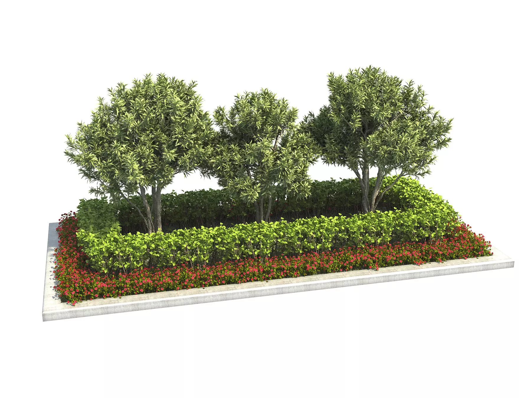 MODERN TREE - SKETCHUP 3D MODEL - ENSCAPE - 255502