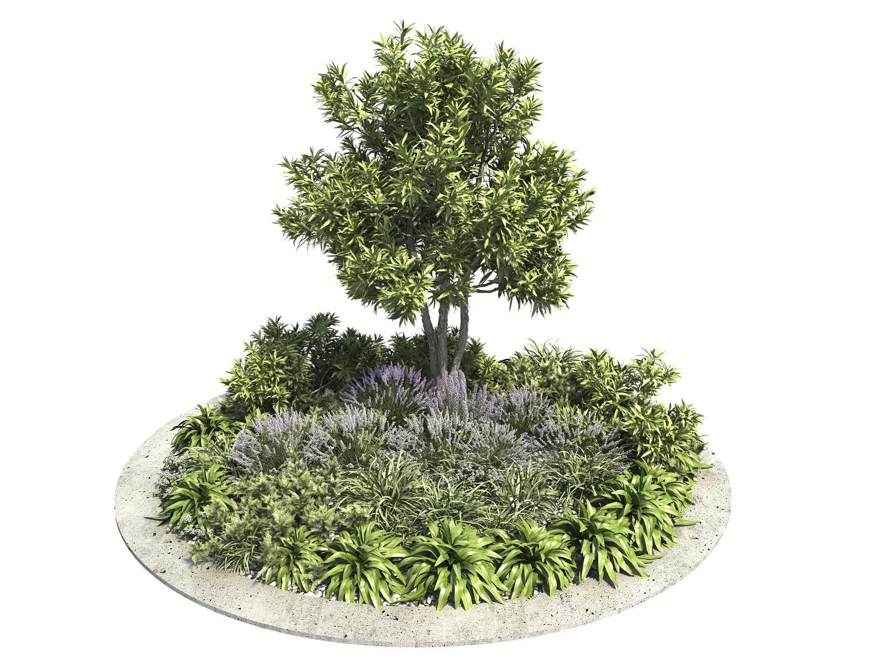 MODERN TREE - SKETCHUP 3D MODEL - ENSCAPE - 255503