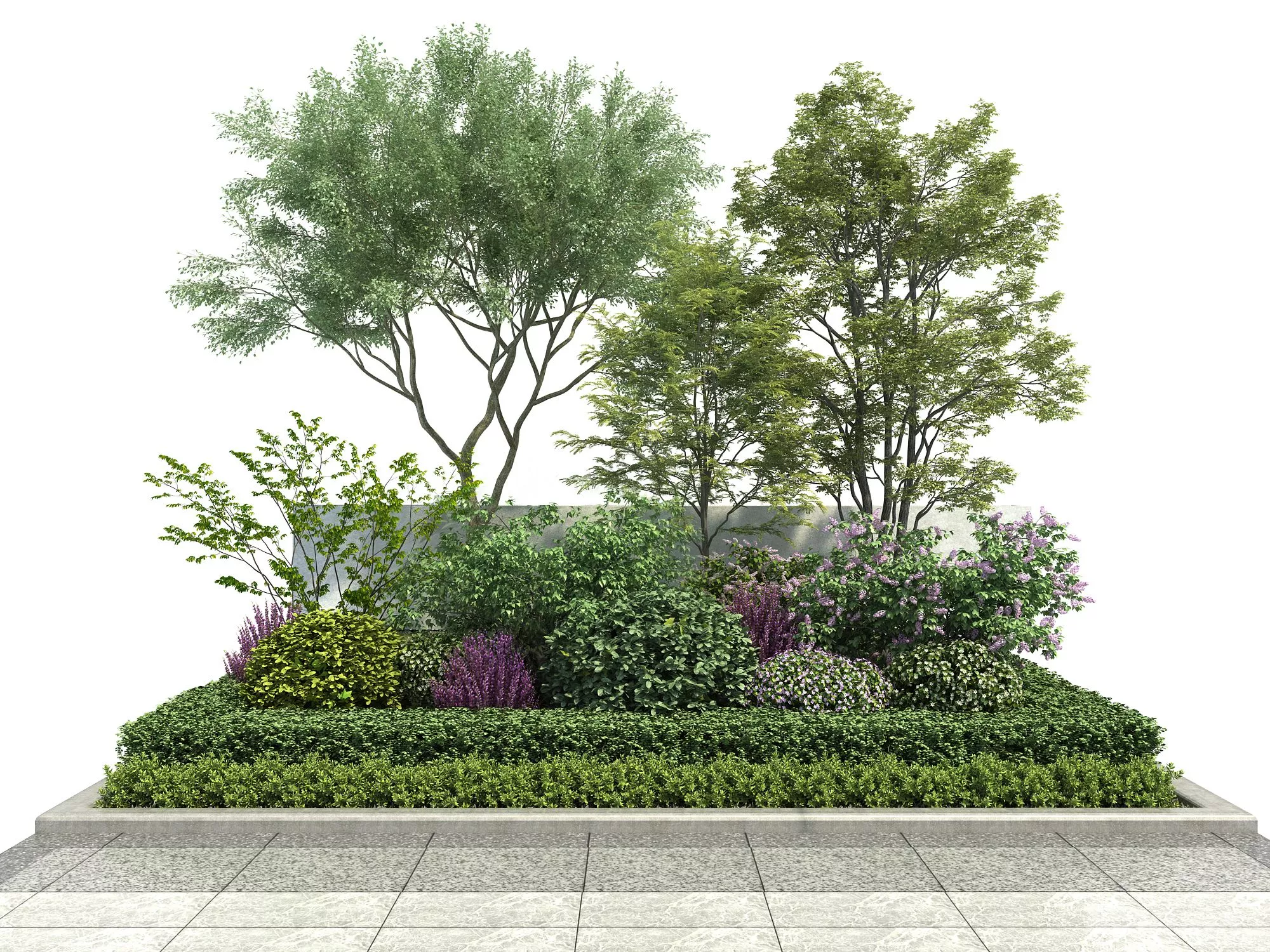 MODERN TREE - SKETCHUP 3D MODEL - ENSCAPE - 255504