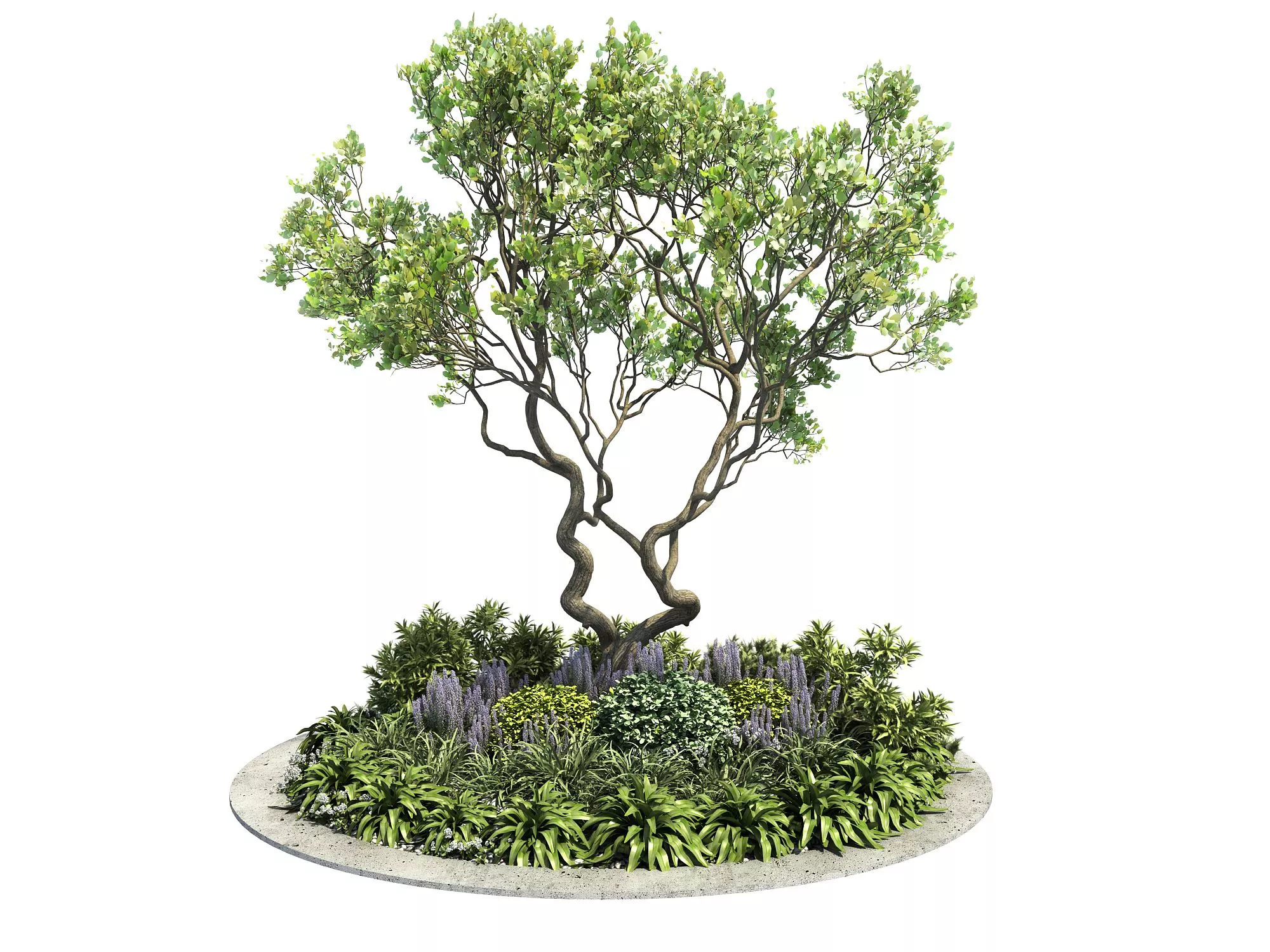 MODERN TREE - SKETCHUP 3D MODEL - ENSCAPE - 255505