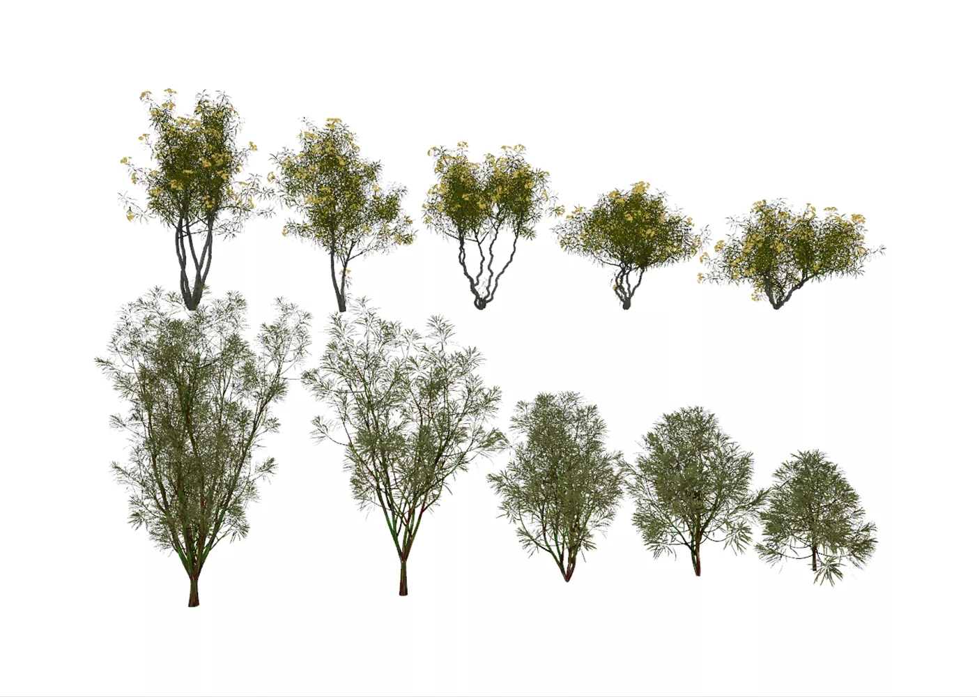 MODERN TREE - SKETCHUP 3D MODEL - ENSCAPE - 259039