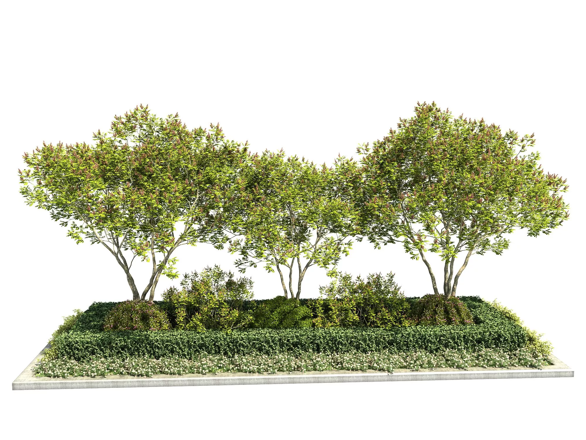 MODERN TREE - SKETCHUP 3D MODEL - ENSCAPE - 261063