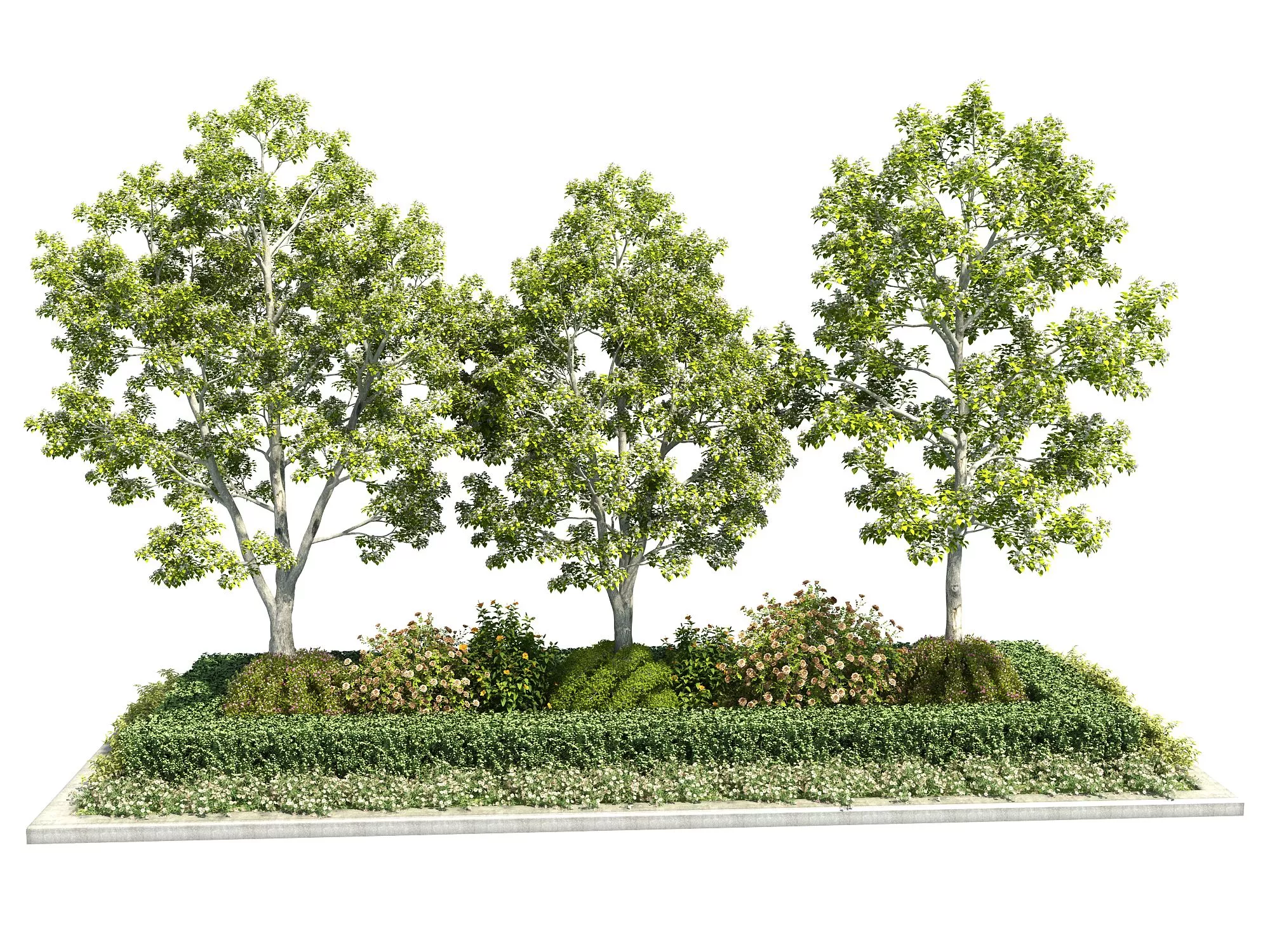 MODERN TREE - SKETCHUP 3D MODEL - ENSCAPE - 261160