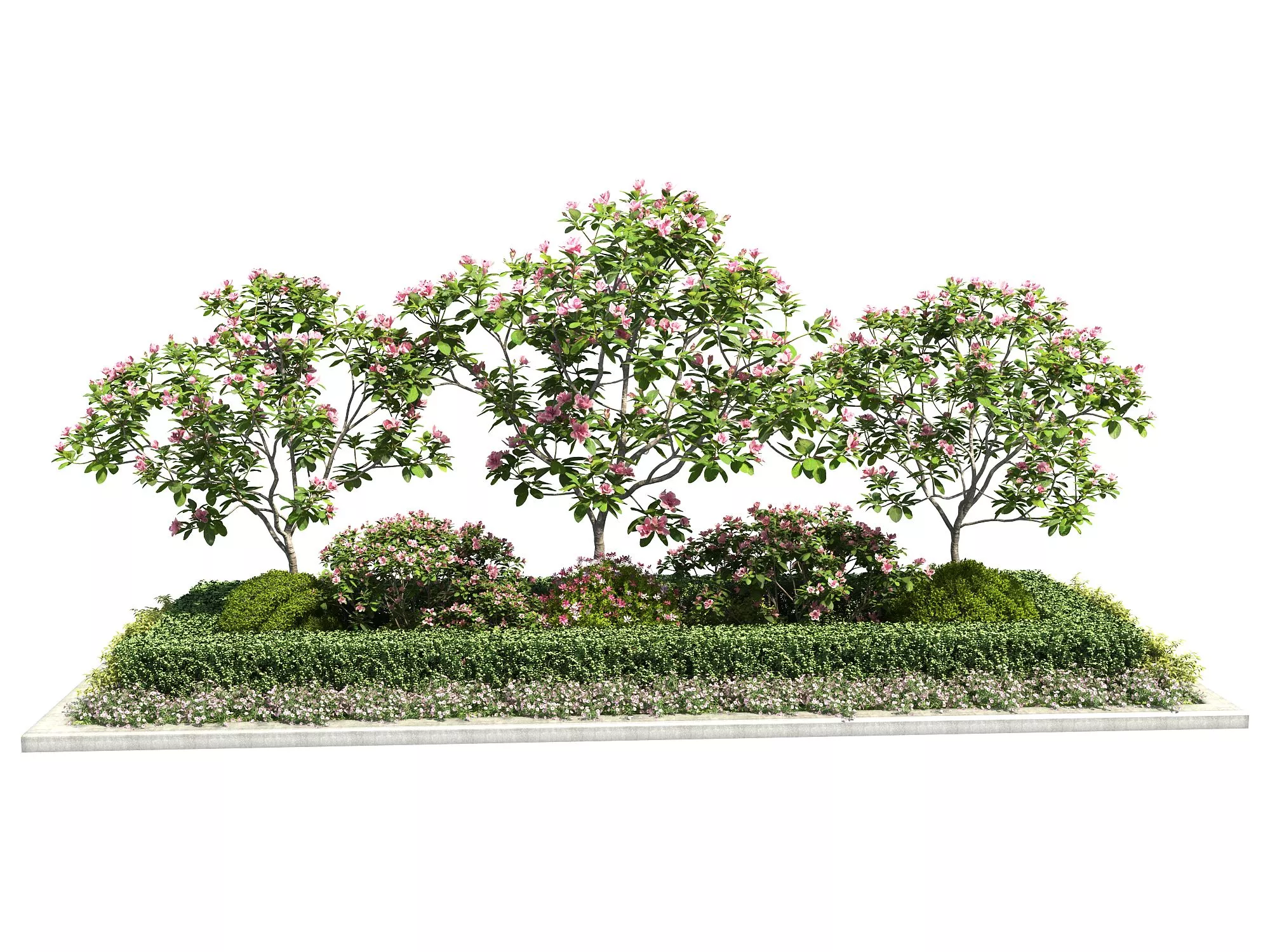 MODERN TREE - SKETCHUP 3D MODEL - ENSCAPE - 261462