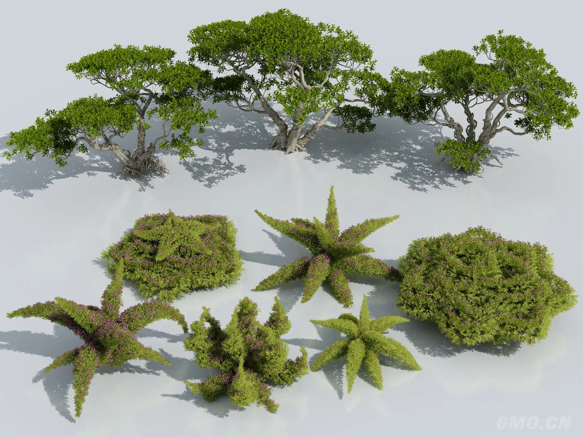 MODERN TREE - SKETCHUP 3D MODEL - ENSCAPE - 274077