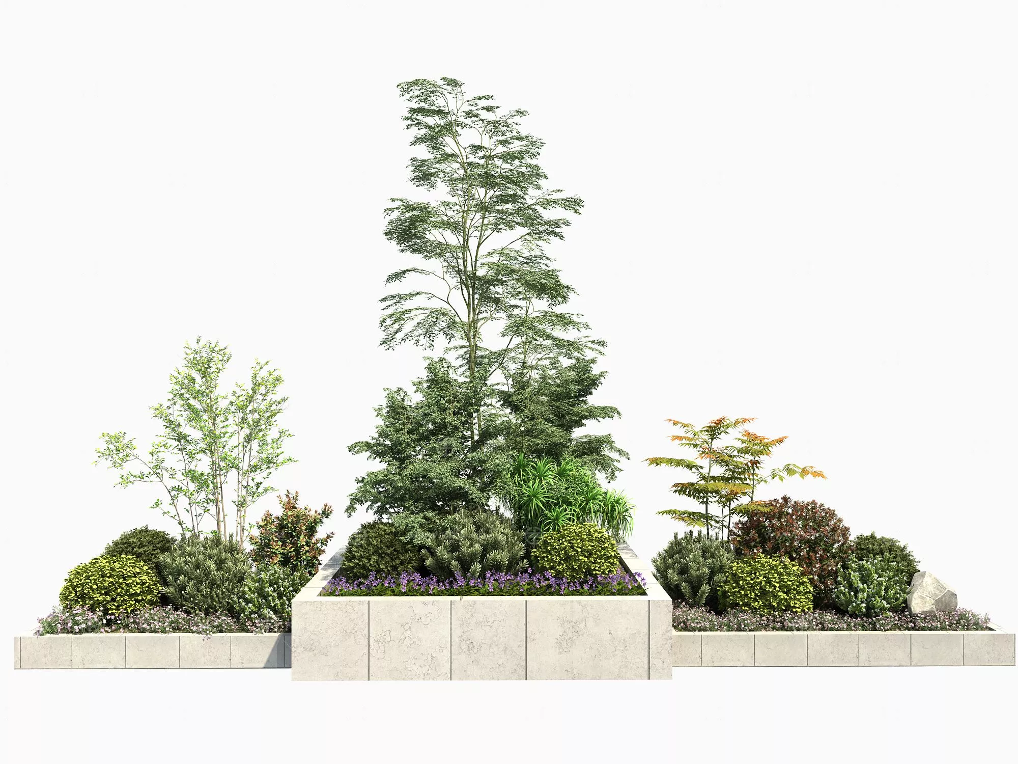 MODERN TREE - SKETCHUP 3D MODEL - ENSCAPE - 277346