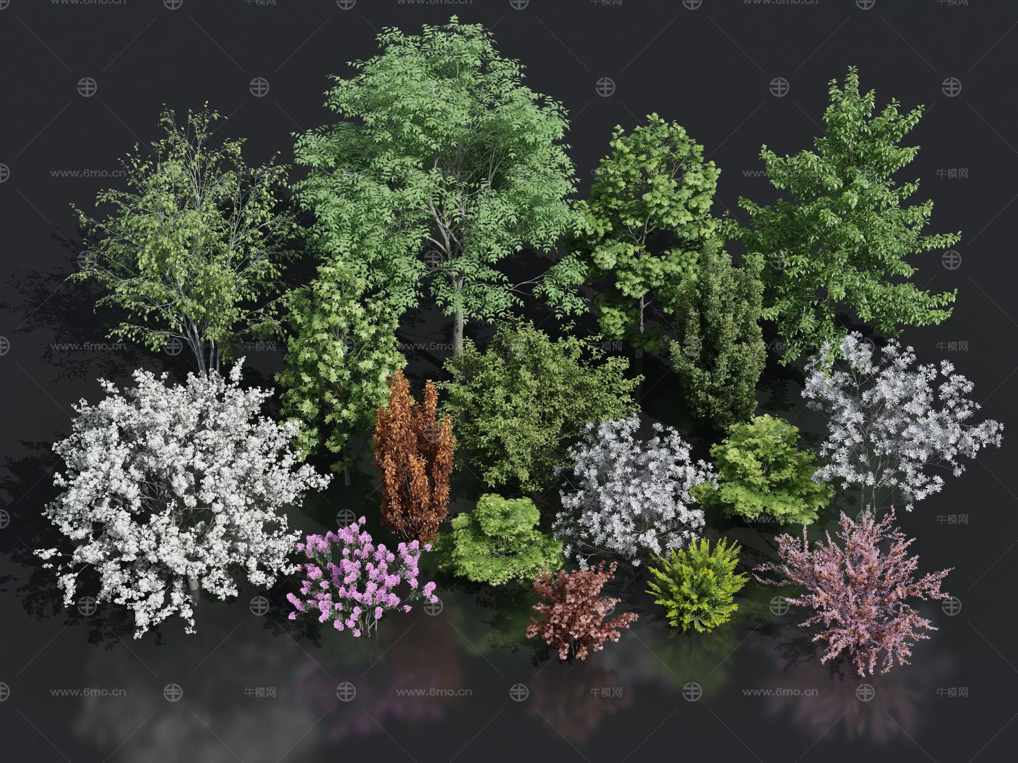 MODERN TREE - SKETCHUP 3D MODEL - ENSCAPE - 278739