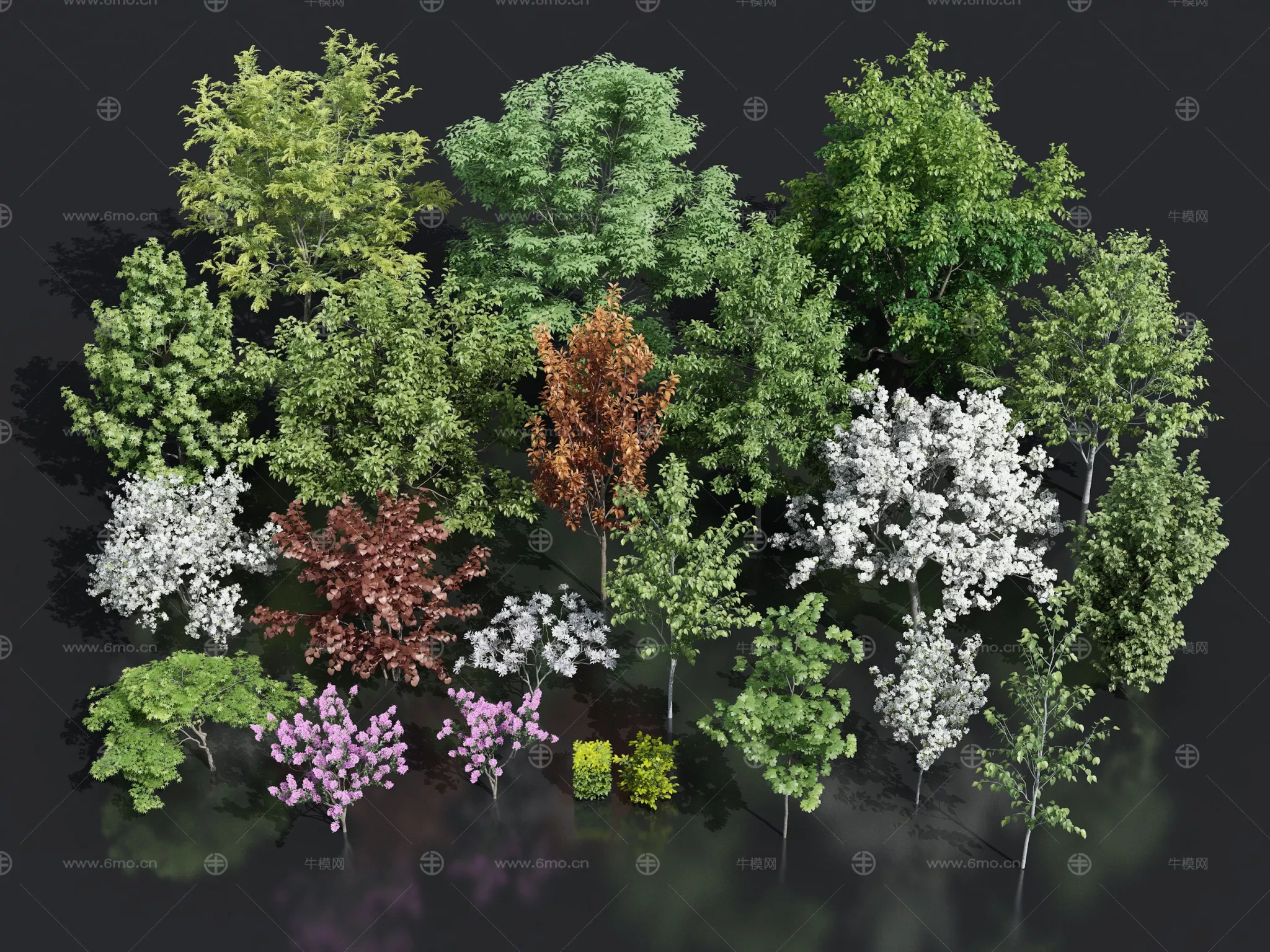 MODERN TREE - SKETCHUP 3D MODEL - ENSCAPE - 278742