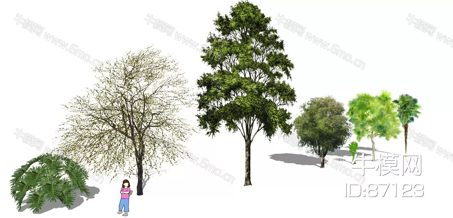 MODERN TREE - SKETCHUP 3D MODEL - ENSCAPE - 87123