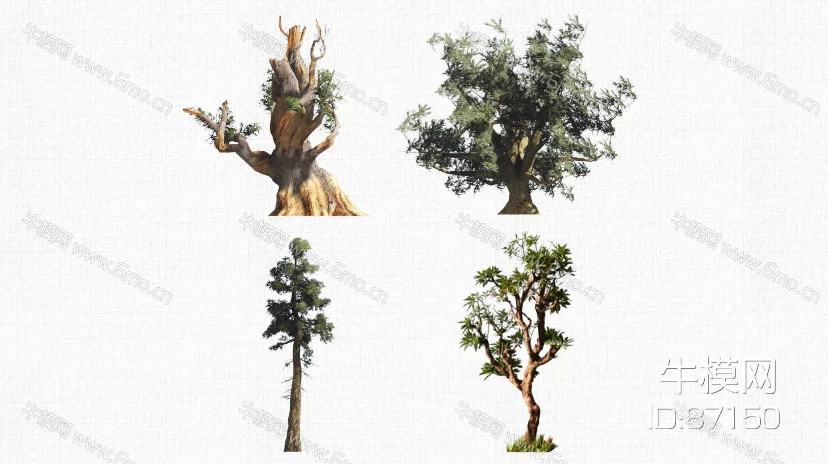 MODERN TREE - SKETCHUP 3D MODEL - ENSCAPE - 87150