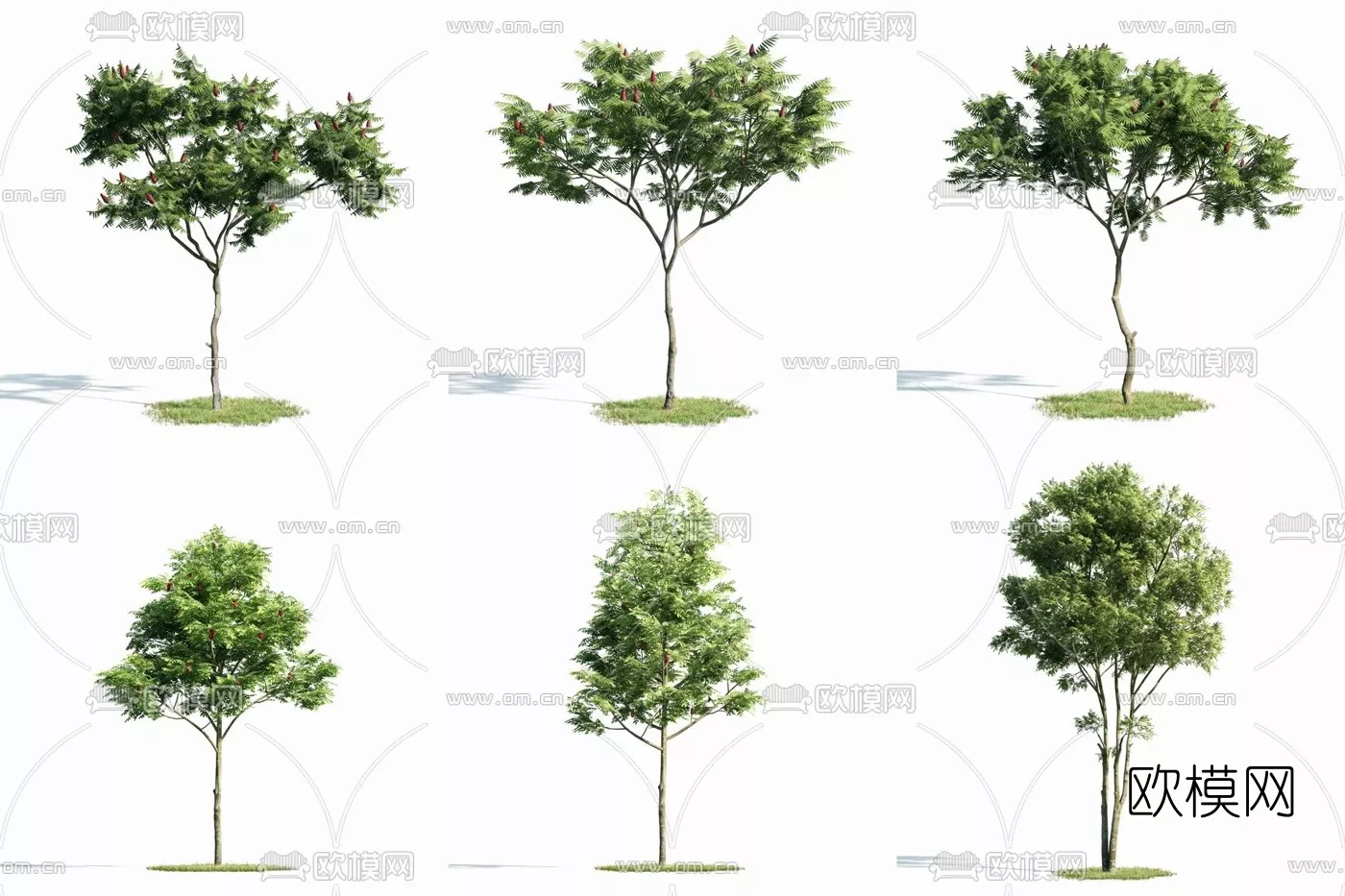 MODERN TREE - SKETCHUP 3D MODEL - VRAY OR ENSCAPE - ID15303