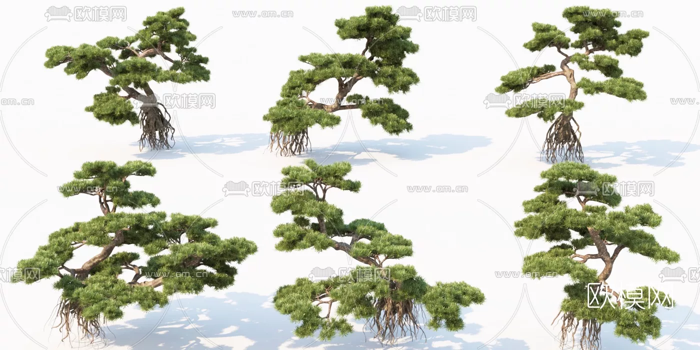 MODERN TREE - SKETCHUP 3D MODEL - VRAY OR ENSCAPE - ID15309