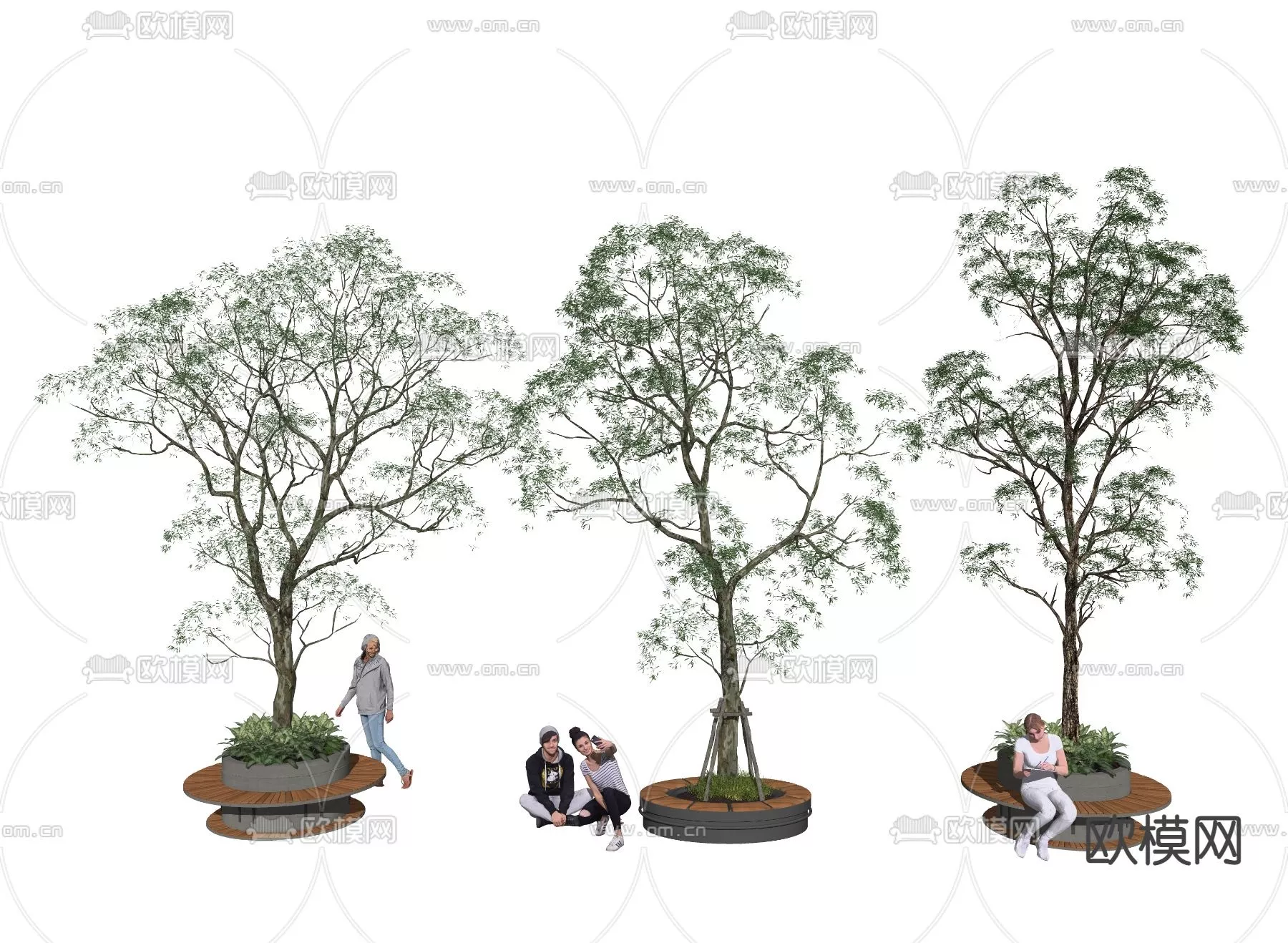 MODERN TREE - SKETCHUP 3D MODEL - VRAY OR ENSCAPE - ID15327