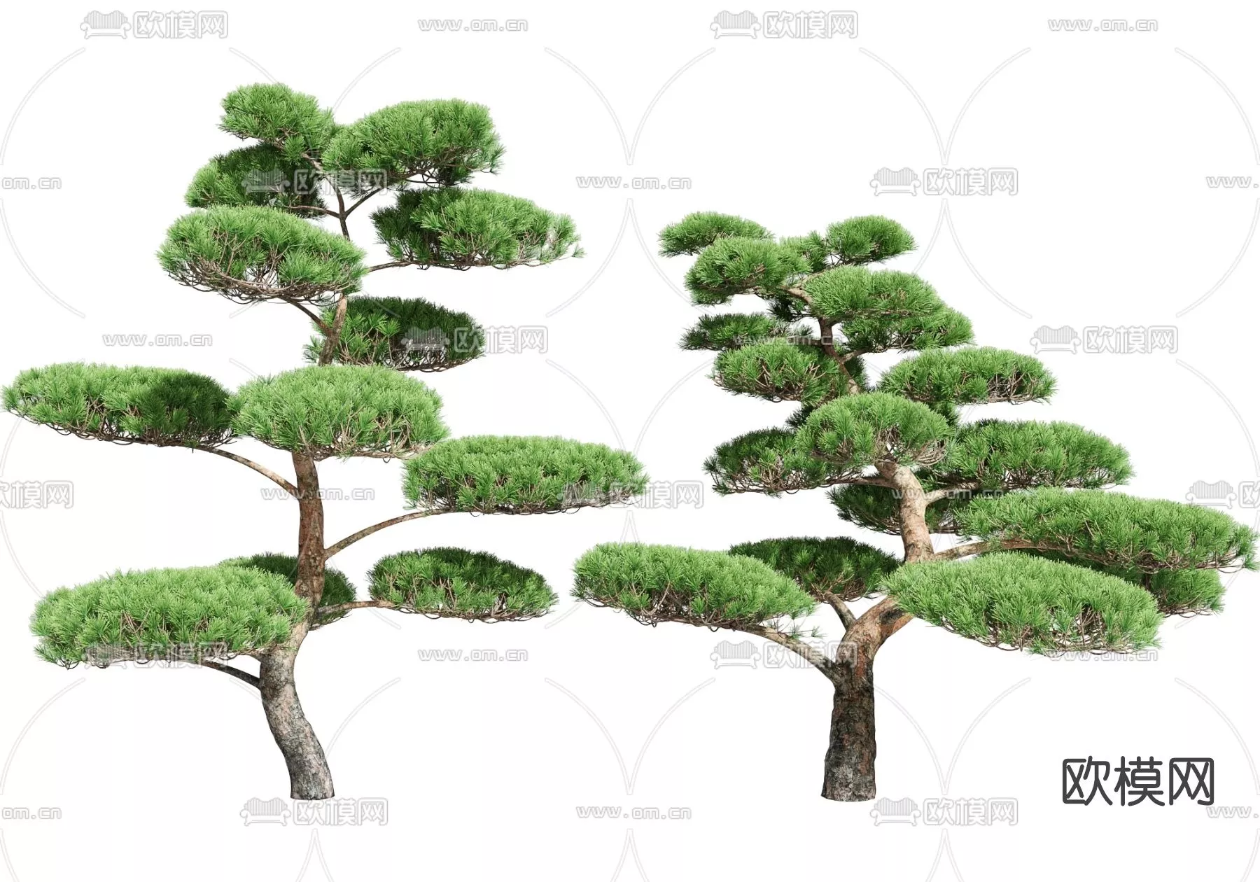 MODERN TREE - SKETCHUP 3D MODEL - VRAY OR ENSCAPE - ID15334