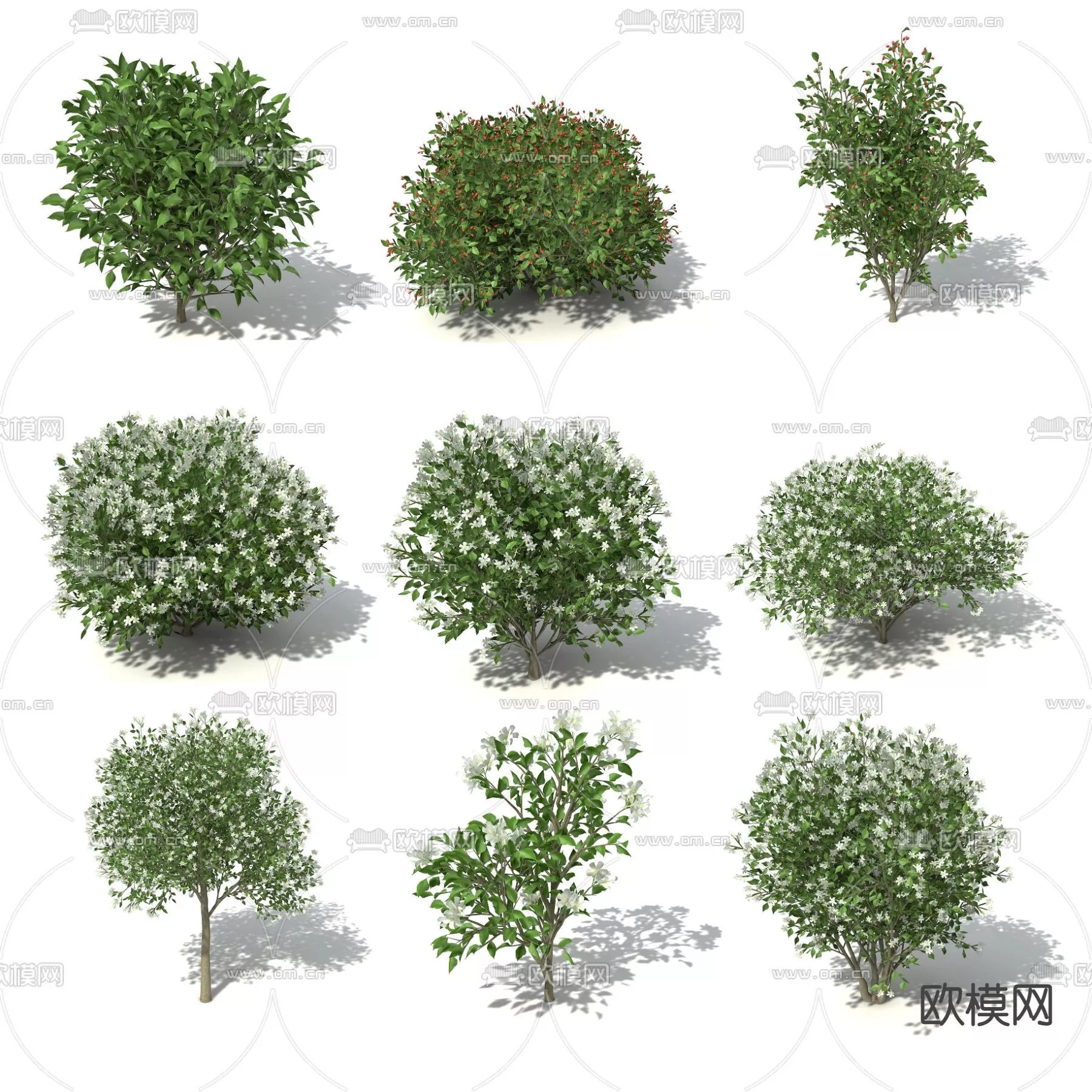 MODERN TREE - SKETCHUP 3D MODEL - VRAY OR ENSCAPE - ID15350