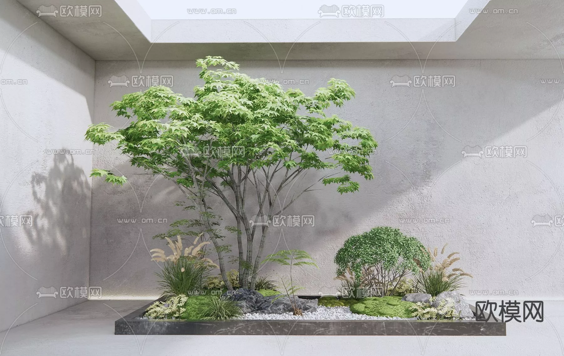 MODERN TREE - SKETCHUP 3D MODEL - VRAY OR ENSCAPE - ID15362