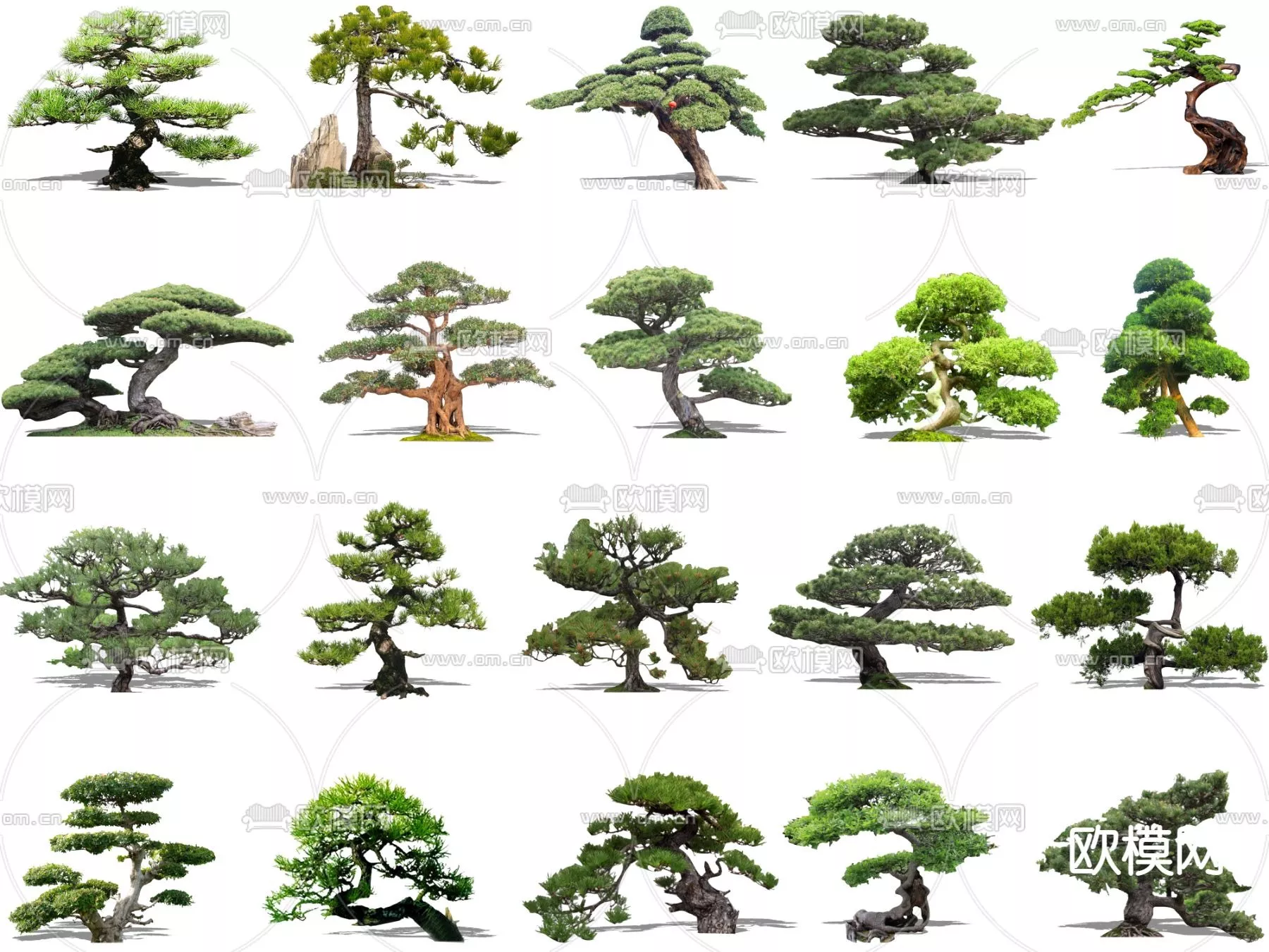 MODERN TREE - SKETCHUP 3D MODEL - VRAY OR ENSCAPE - ID15366