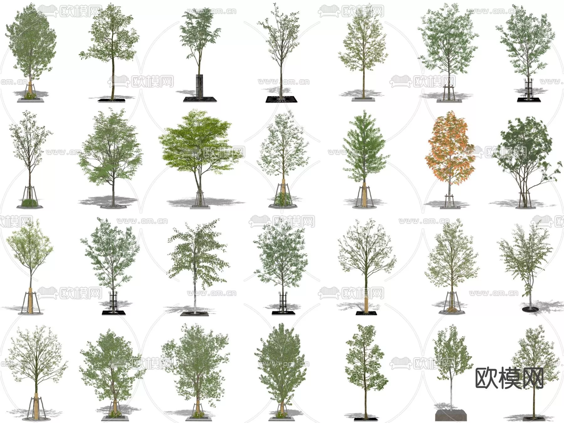 MODERN TREE - SKETCHUP 3D MODEL - VRAY OR ENSCAPE - ID15370