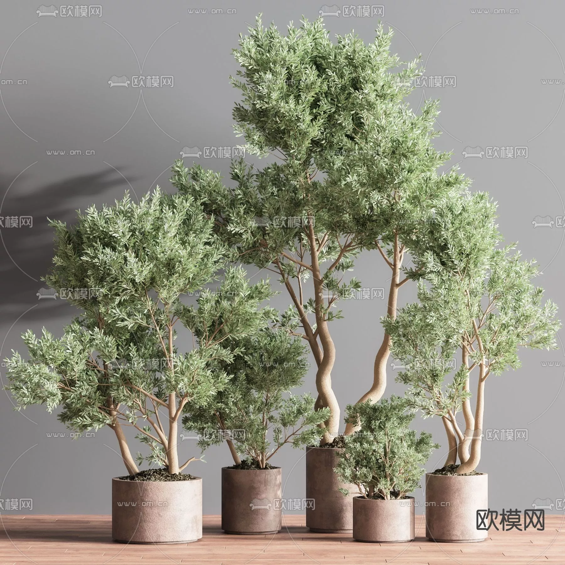 MODERN TREE - SKETCHUP 3D MODEL - VRAY OR ENSCAPE - ID15373