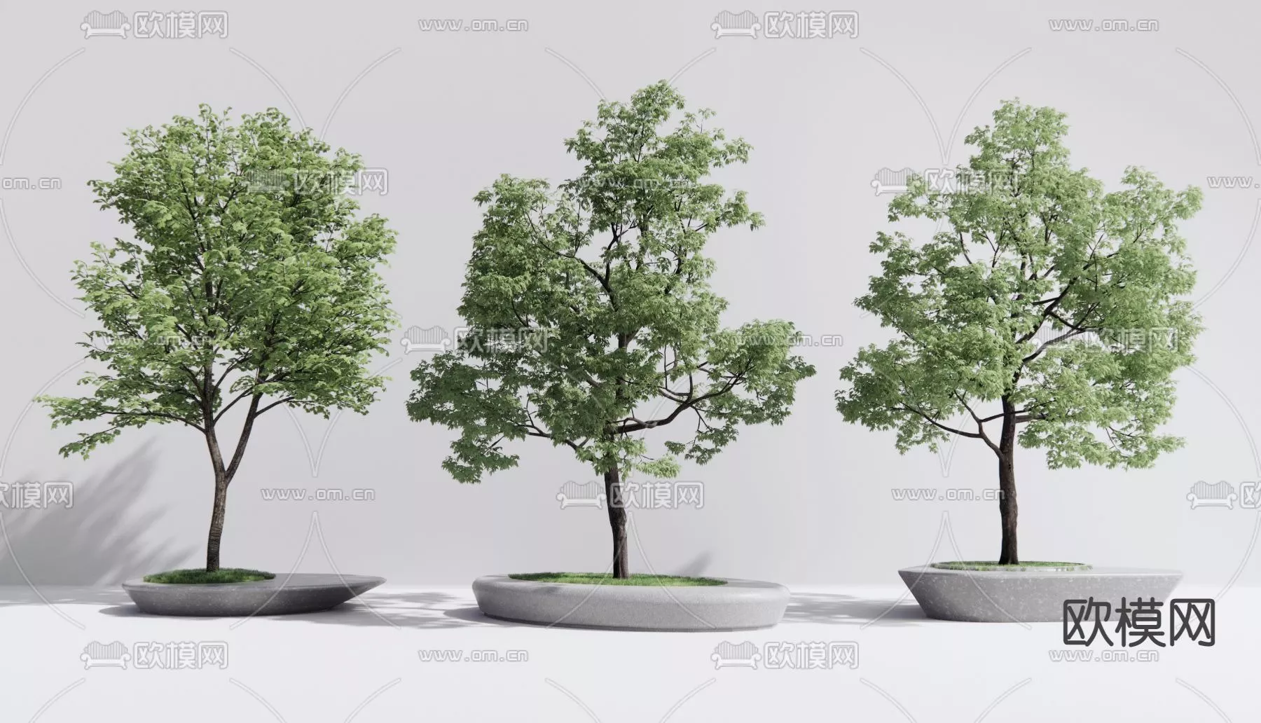 MODERN TREE - SKETCHUP 3D MODEL - VRAY OR ENSCAPE - ID15376