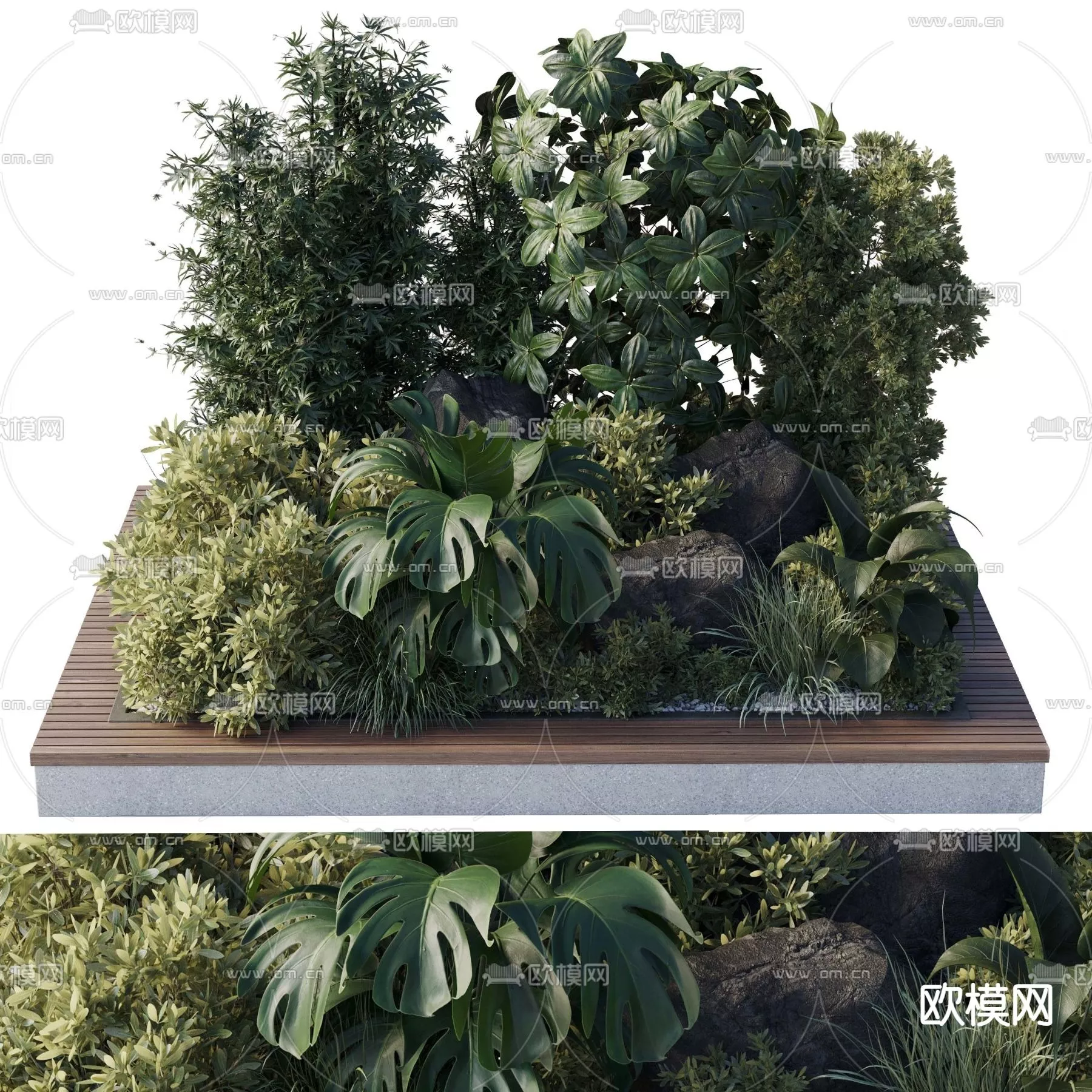 MODERN TREE - SKETCHUP 3D MODEL - VRAY OR ENSCAPE - ID15380