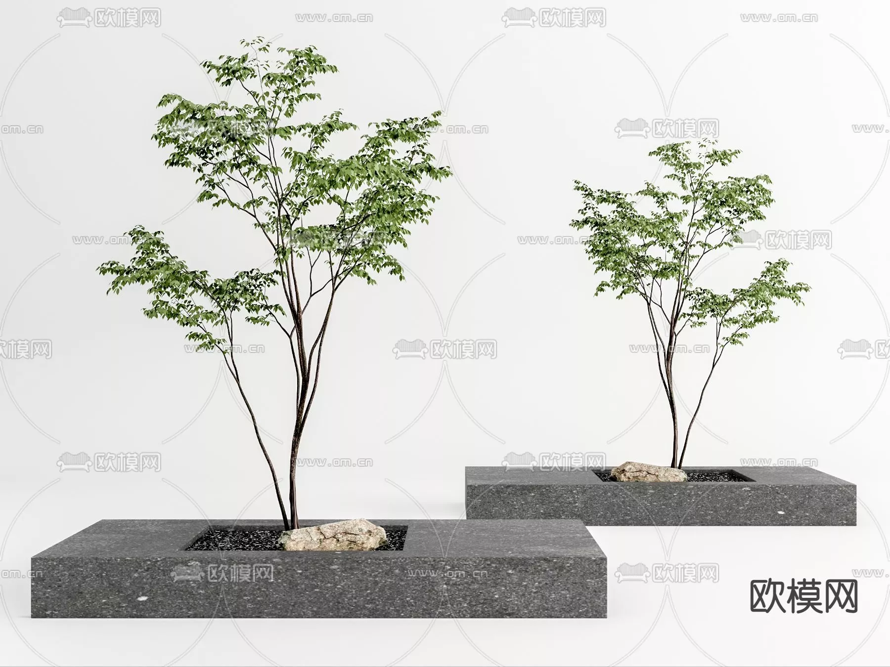 MODERN TREE - SKETCHUP 3D MODEL - VRAY OR ENSCAPE - ID15390