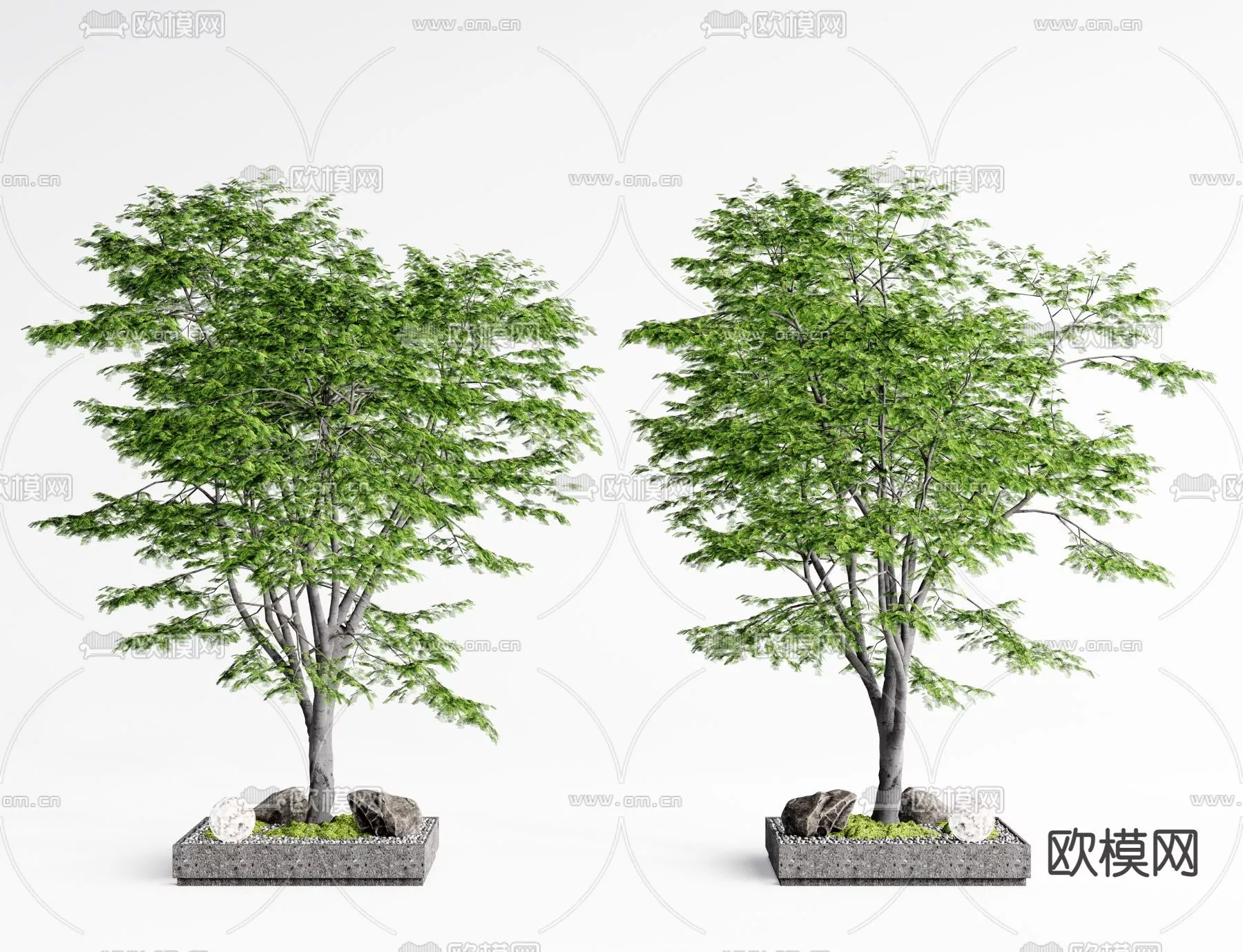 MODERN TREE - SKETCHUP 3D MODEL - VRAY OR ENSCAPE - ID15397