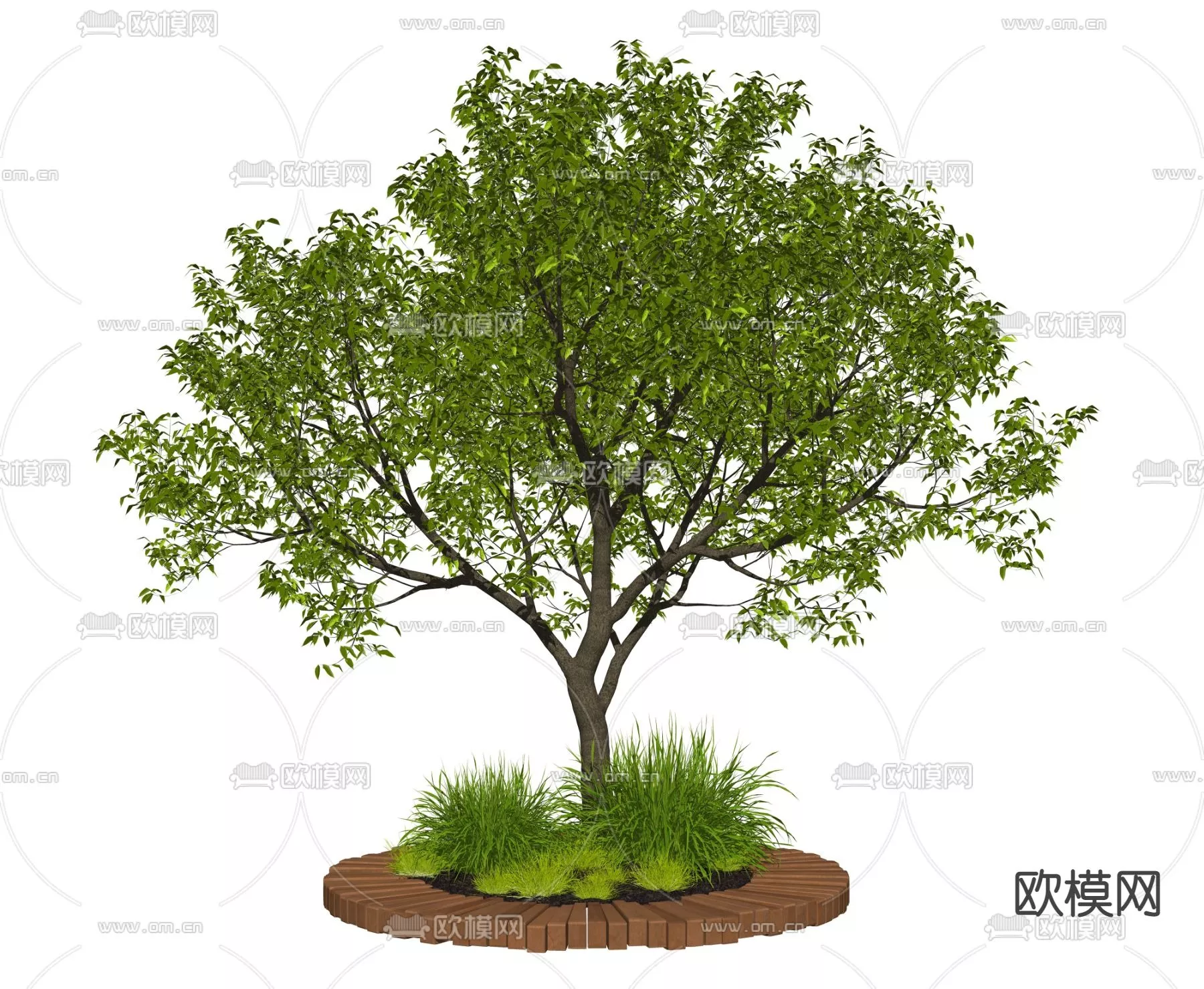 MODERN TREE - SKETCHUP 3D MODEL - VRAY OR ENSCAPE - ID15401