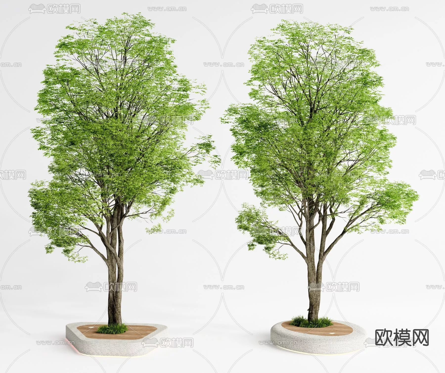 MODERN TREE - SKETCHUP 3D MODEL - VRAY OR ENSCAPE - ID15404