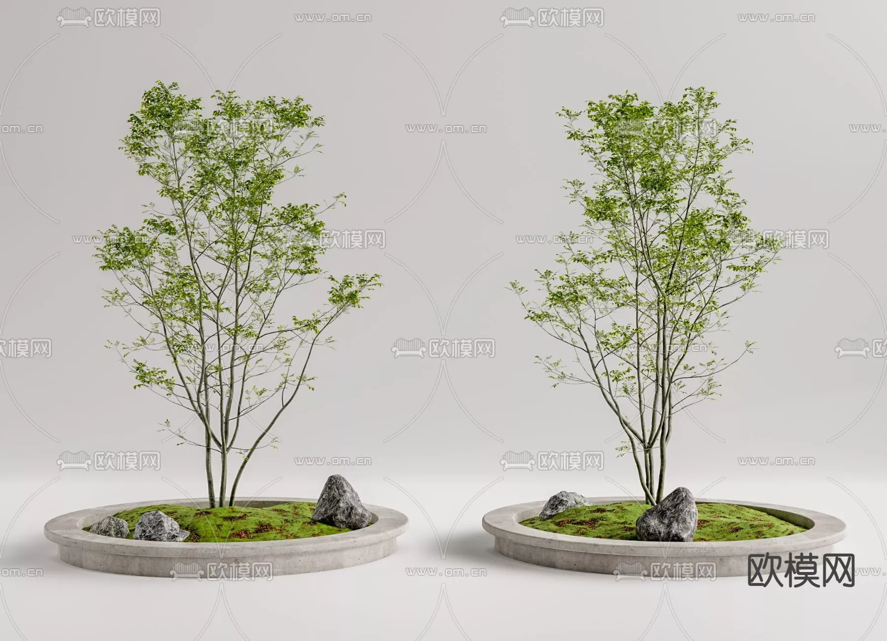 MODERN TREE - SKETCHUP 3D MODEL - VRAY OR ENSCAPE - ID15406