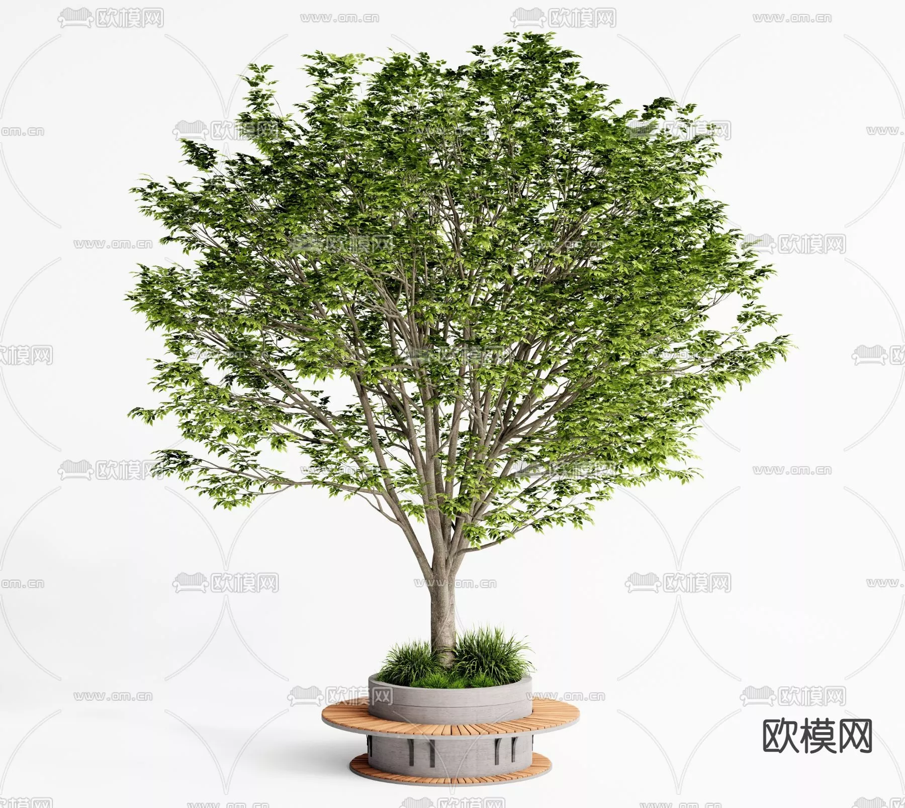 MODERN TREE - SKETCHUP 3D MODEL - VRAY OR ENSCAPE - ID15407