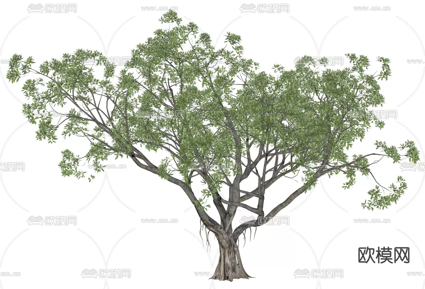 MODERN TREE - SKETCHUP 3D MODEL - VRAY OR ENSCAPE - ID15420