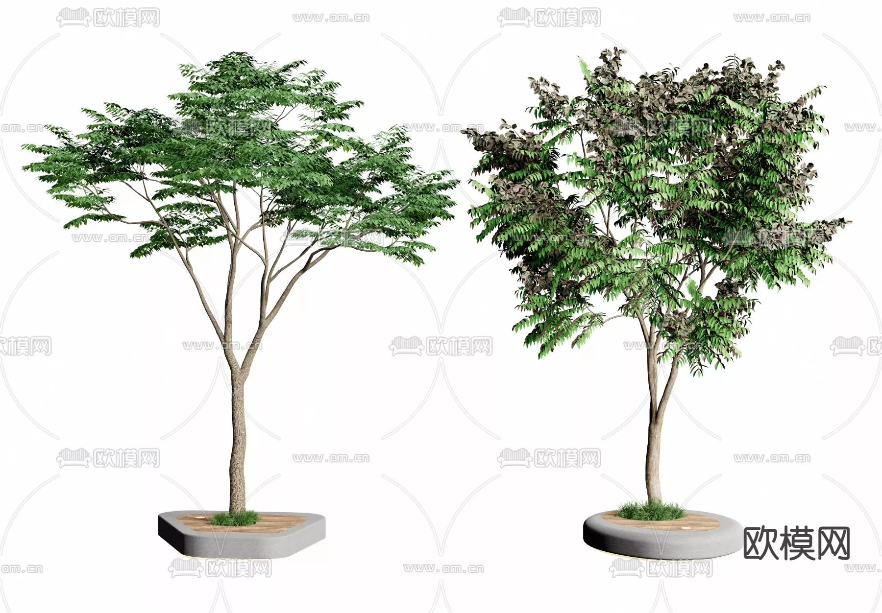 MODERN TREE - SKETCHUP 3D MODEL - VRAY OR ENSCAPE - ID15443