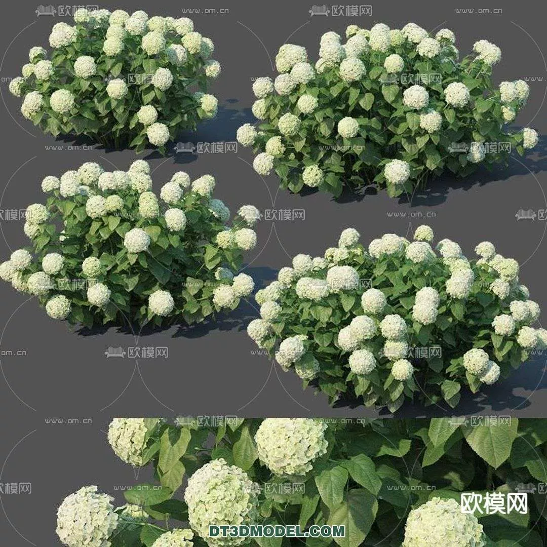 MODERN UNDERSHRUB - SKETCHUP 3D MODEL - VRAY OR ENSCAPE - ID15640