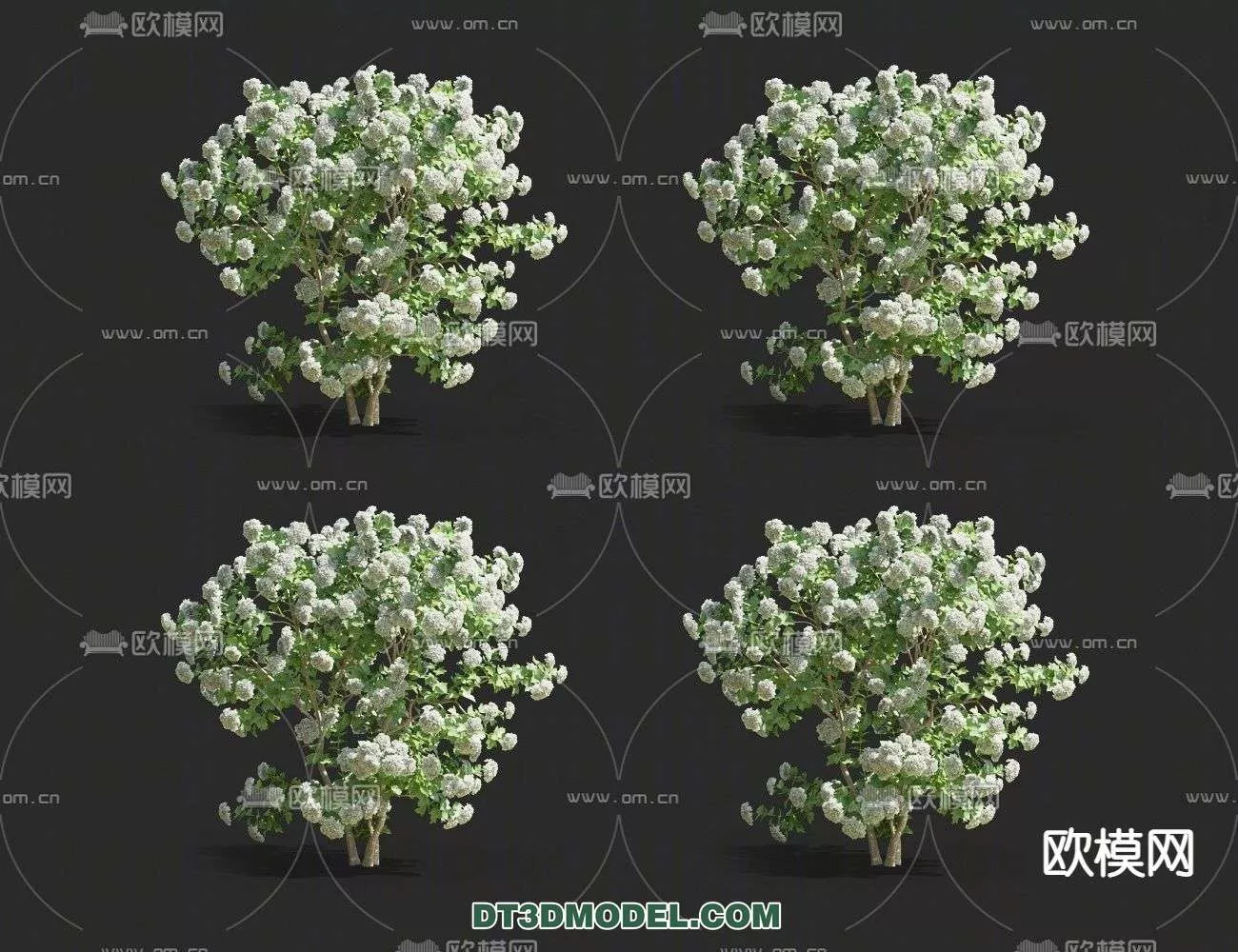 MODERN UNDERSHRUB - SKETCHUP 3D MODEL - VRAY OR ENSCAPE - ID15642