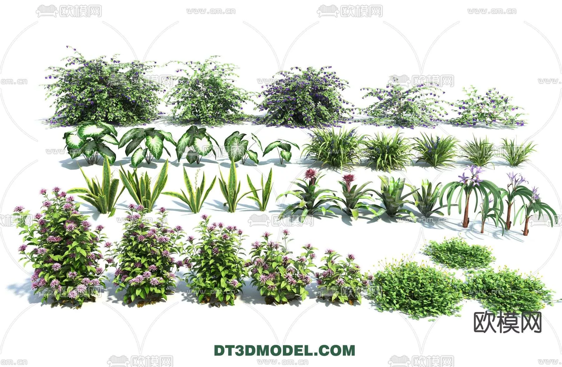 MODERN UNDERSHRUB - SKETCHUP 3D MODEL - VRAY OR ENSCAPE - ID15644