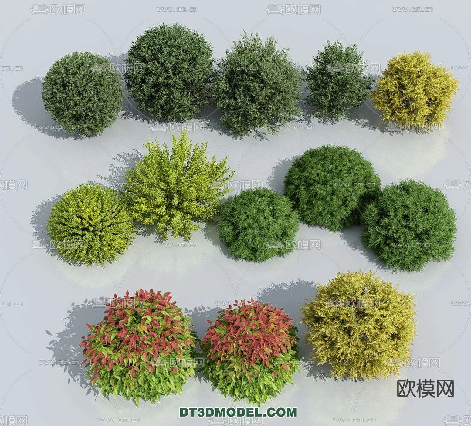 MODERN UNDERSHRUB - SKETCHUP 3D MODEL - VRAY OR ENSCAPE - ID15645