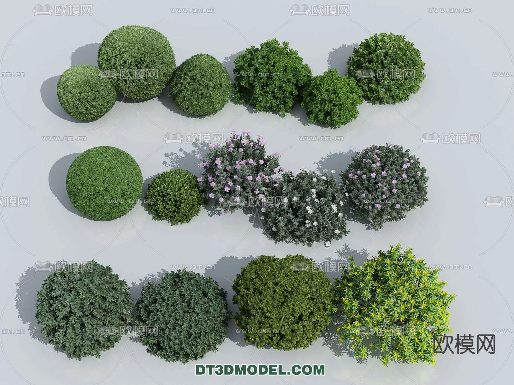 MODERN UNDERSHRUB - SKETCHUP 3D MODEL - VRAY OR ENSCAPE - ID15646