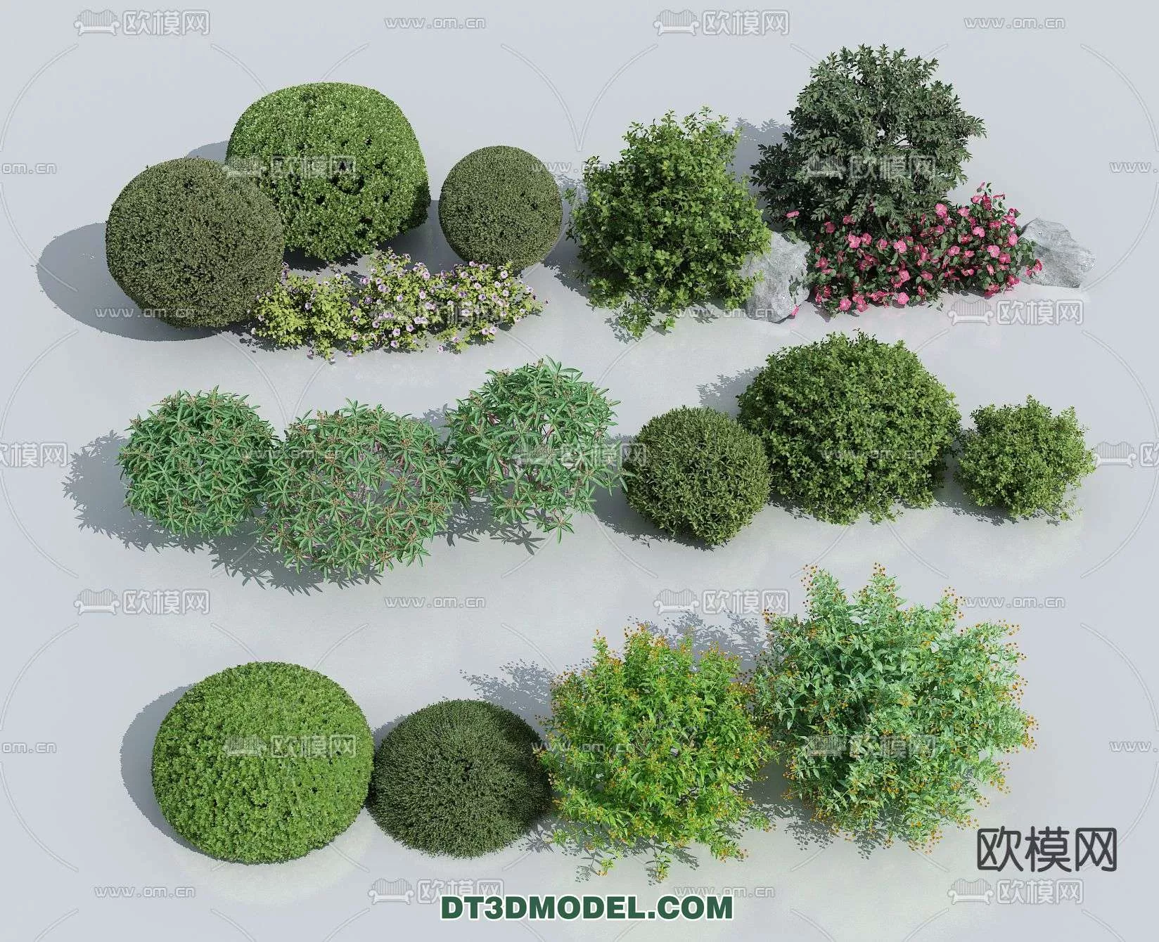 MODERN UNDERSHRUB - SKETCHUP 3D MODEL - VRAY OR ENSCAPE - ID15647