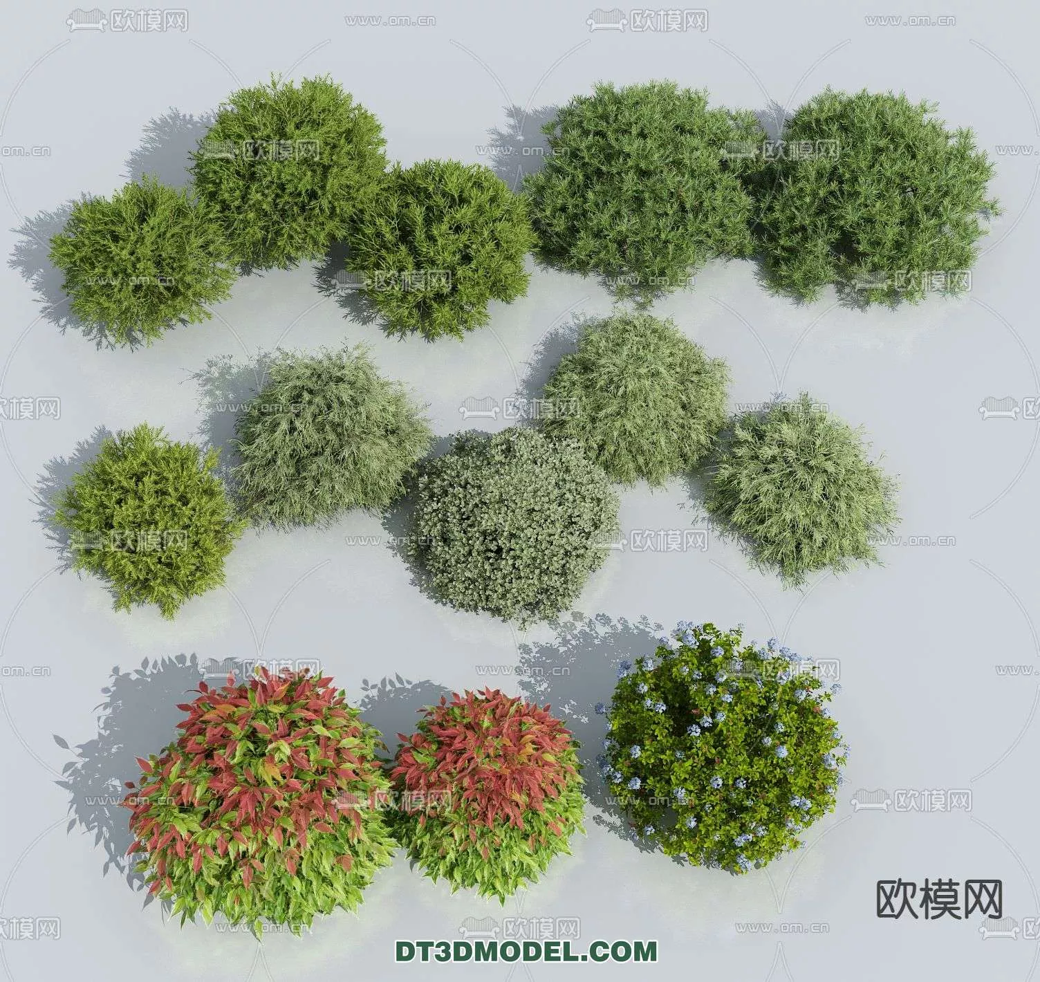 MODERN UNDERSHRUB - SKETCHUP 3D MODEL - VRAY OR ENSCAPE - ID15650