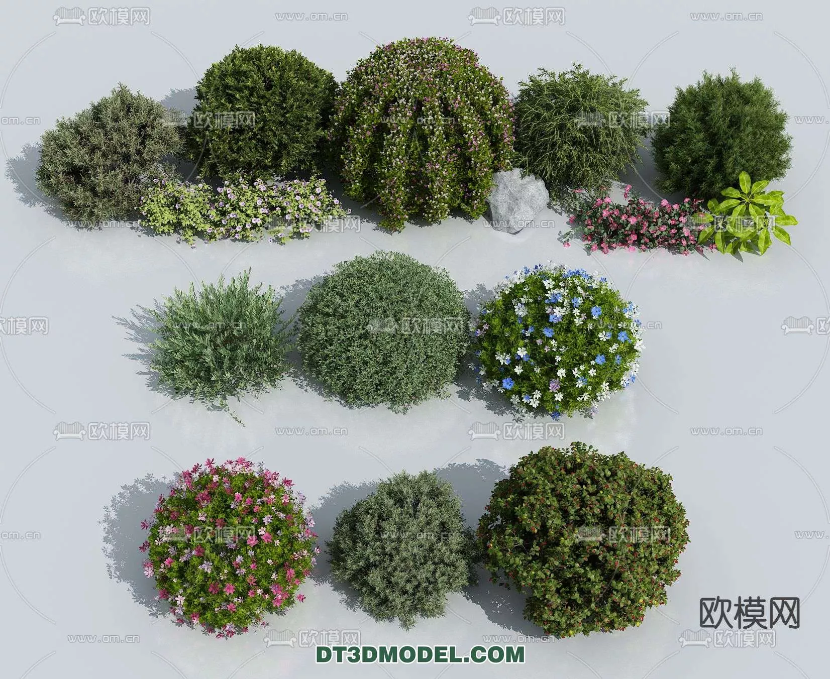 MODERN UNDERSHRUB - SKETCHUP 3D MODEL - VRAY OR ENSCAPE - ID15651