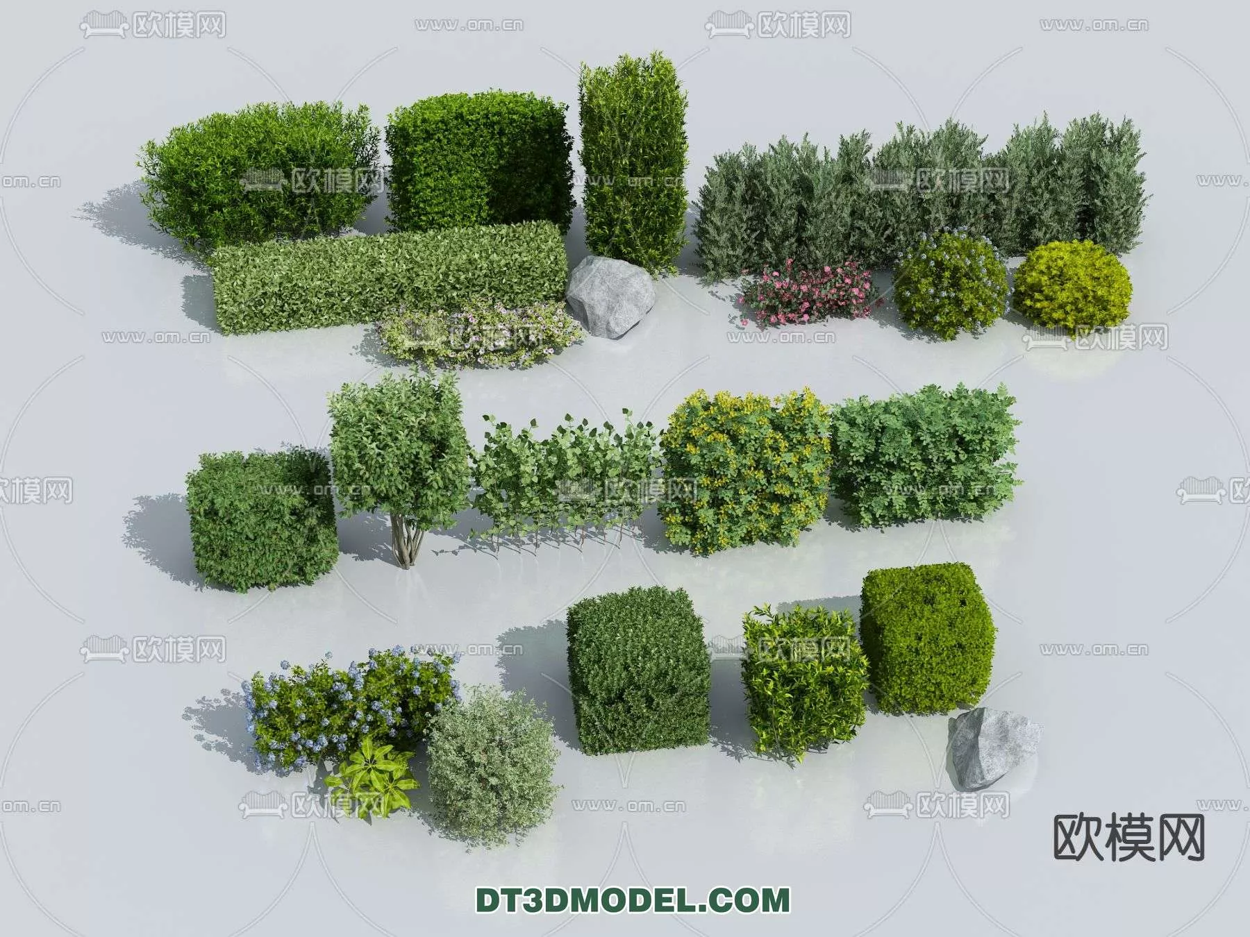 MODERN UNDERSHRUB - SKETCHUP 3D MODEL - VRAY OR ENSCAPE - ID15656