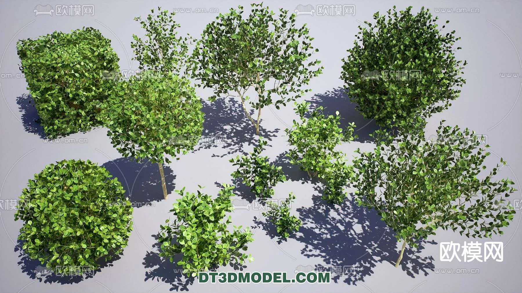 MODERN UNDERSHRUB - SKETCHUP 3D MODEL - VRAY OR ENSCAPE - ID15662