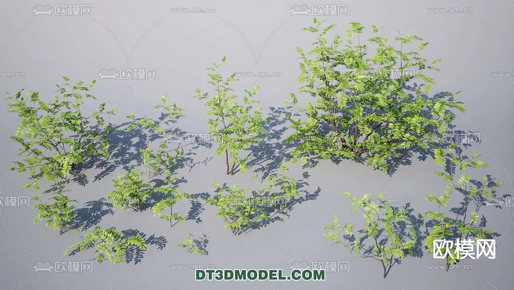 MODERN UNDERSHRUB - SKETCHUP 3D MODEL - VRAY OR ENSCAPE - ID15664