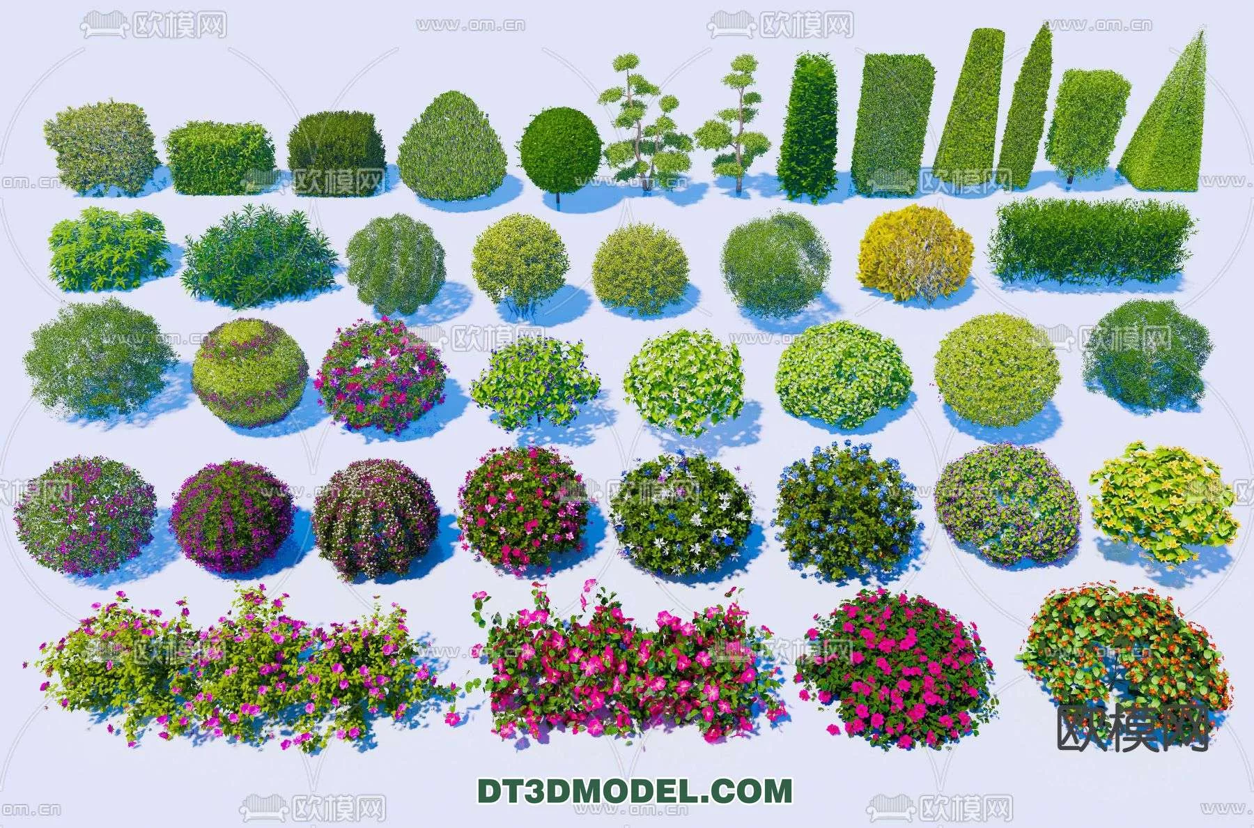 MODERN UNDERSHRUB - SKETCHUP 3D MODEL - VRAY OR ENSCAPE - ID15672