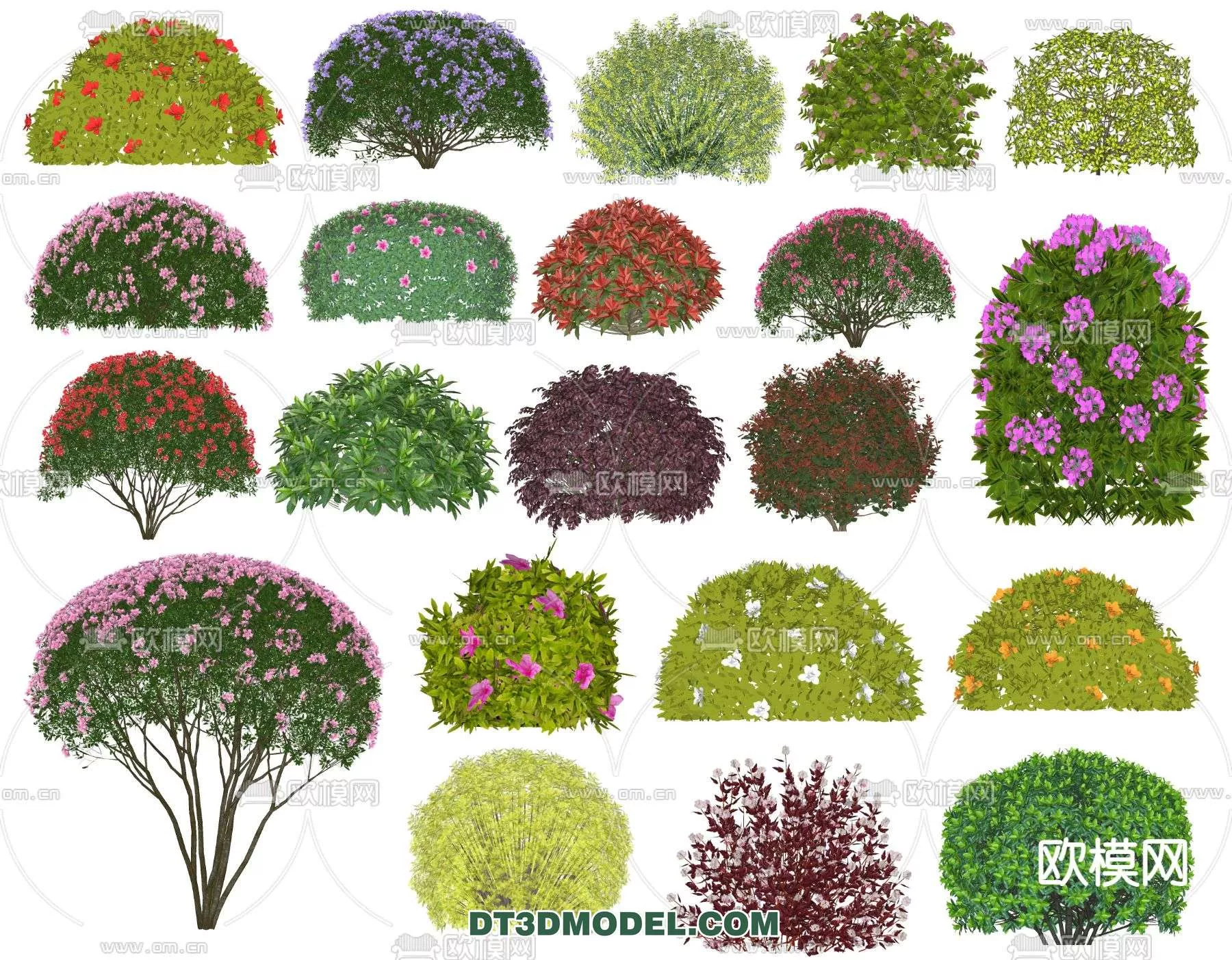 MODERN UNDERSHRUB - SKETCHUP 3D MODEL - VRAY OR ENSCAPE - ID15689