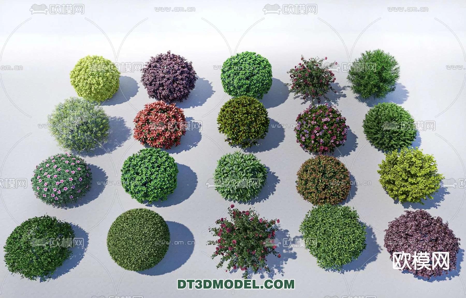 MODERN UNDERSHRUB - SKETCHUP 3D MODEL - VRAY OR ENSCAPE - ID15691